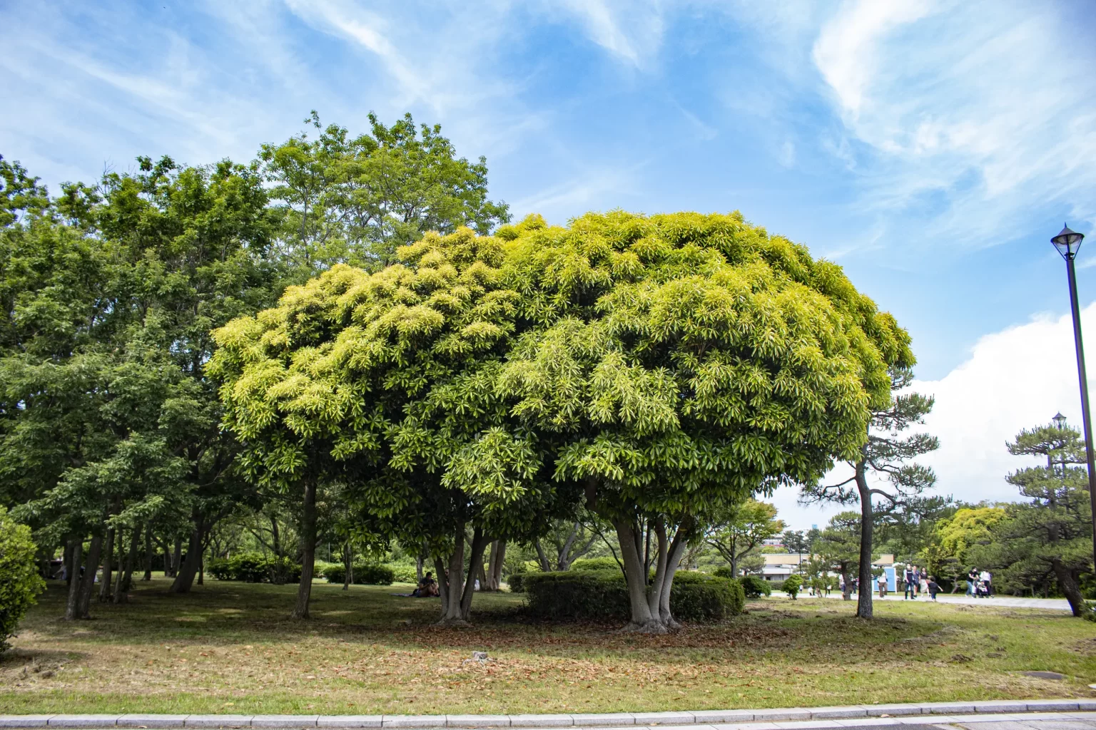 葛西臨海公園