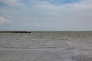 IMG_3815
