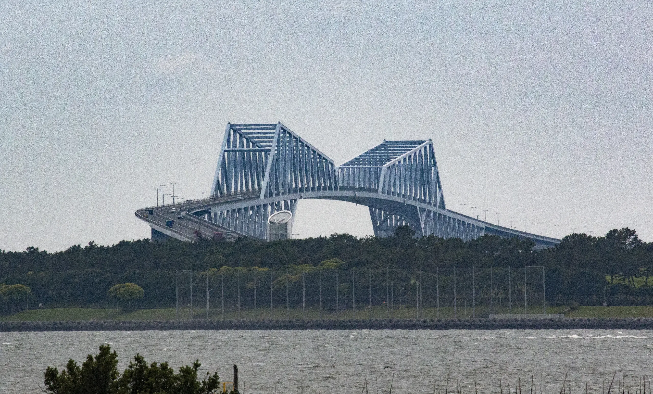 葛西臨海公園 No.11
