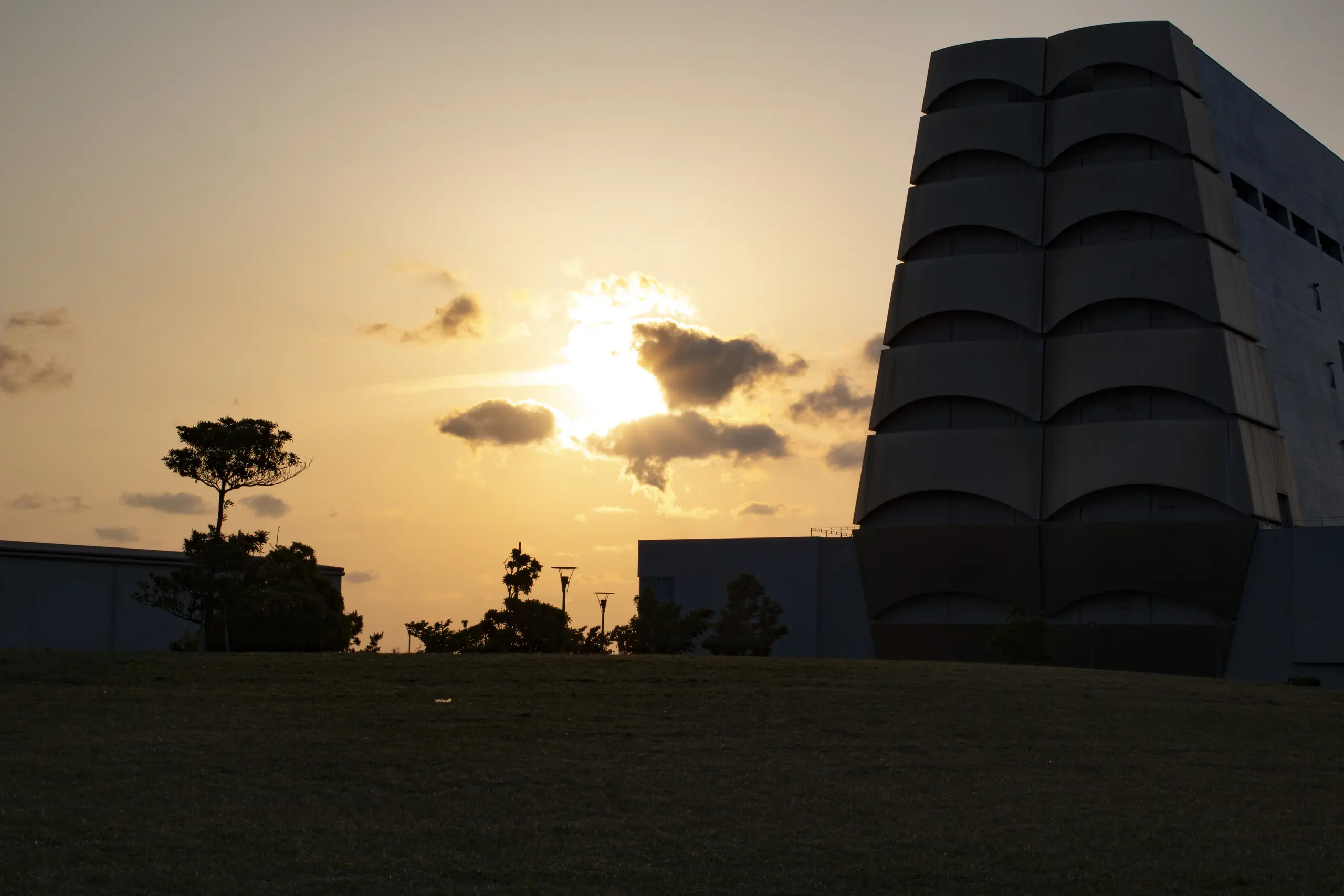 東扇島公園 No.19