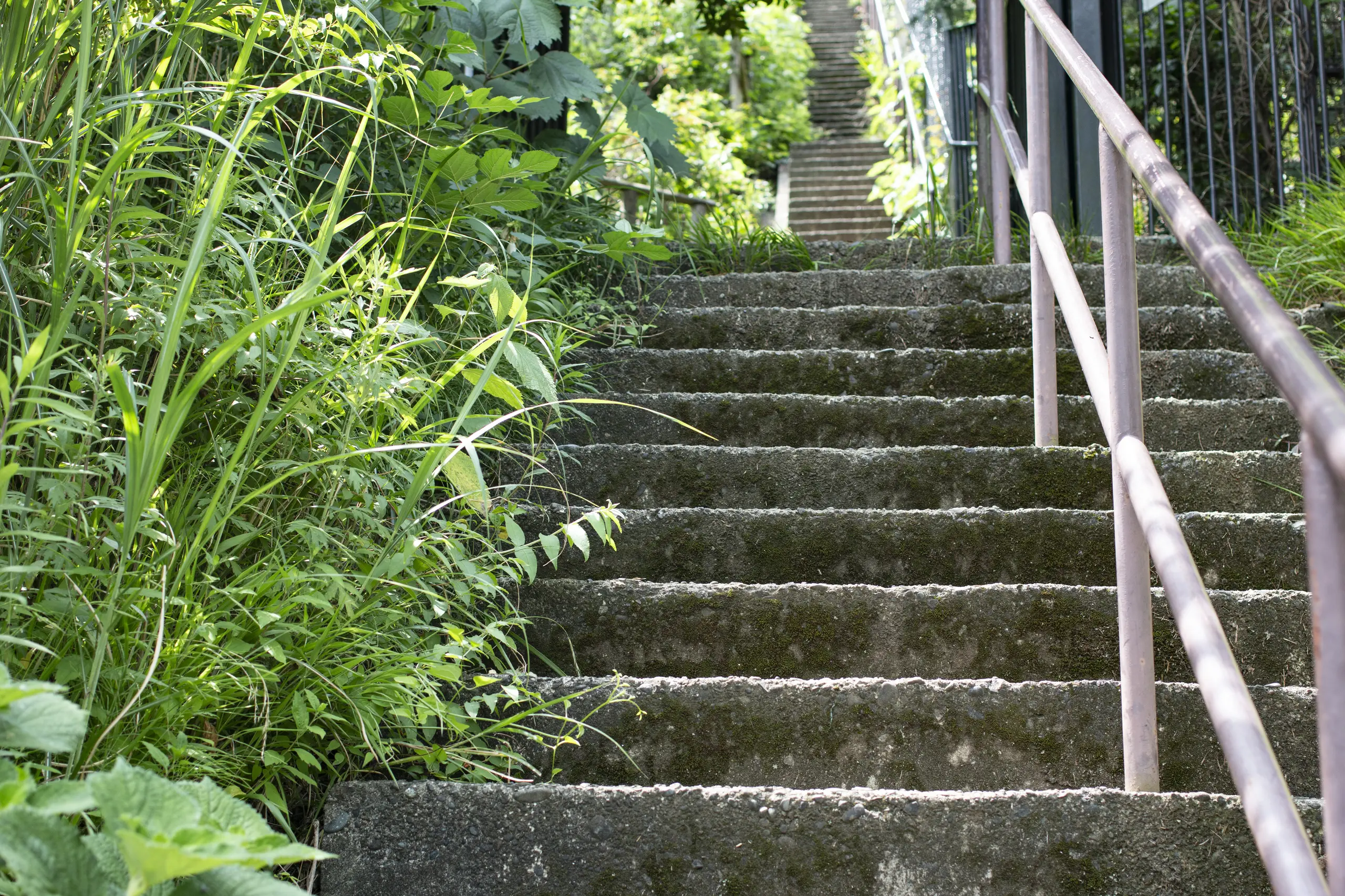 鷹取山 No.4