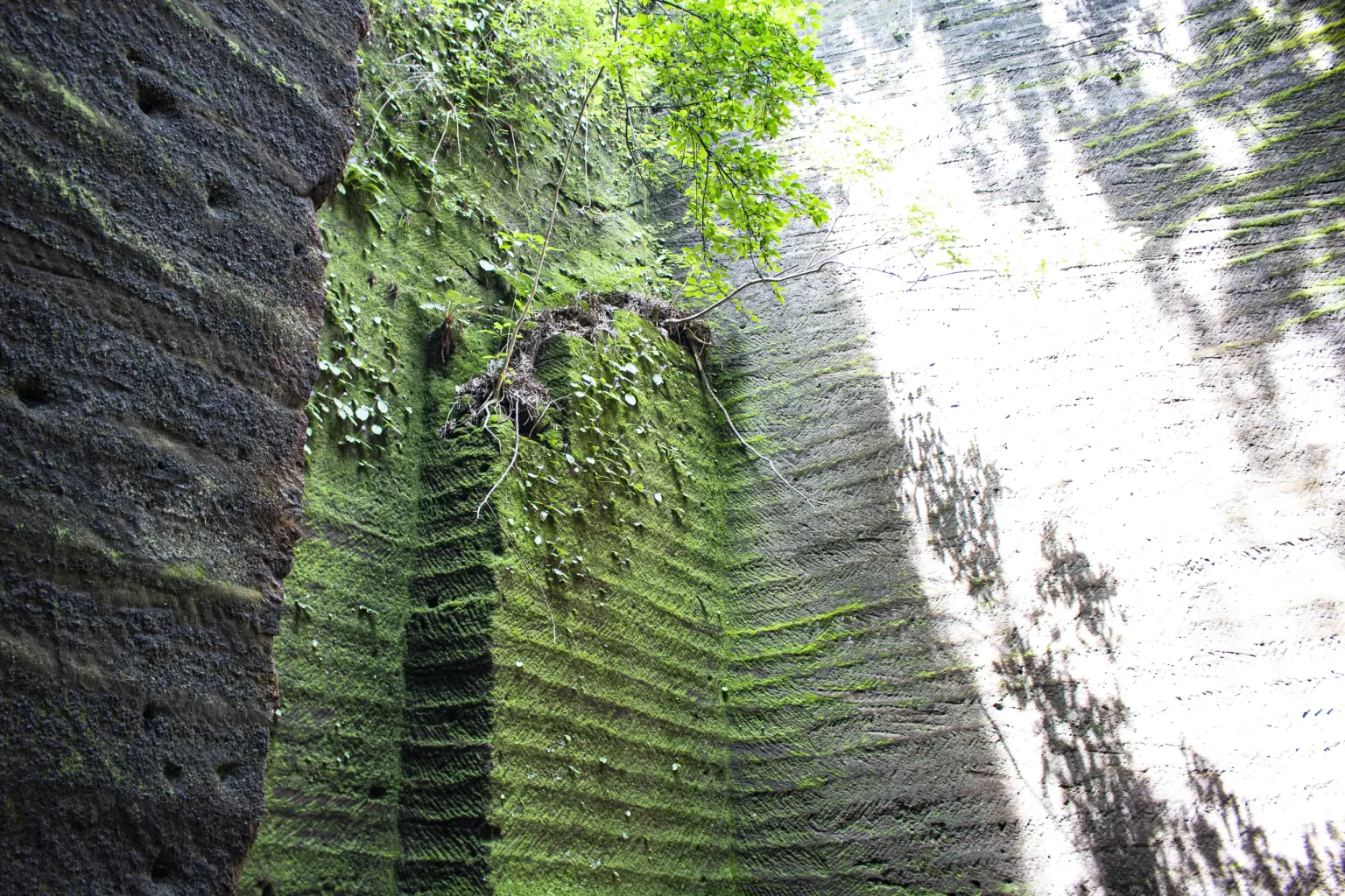 鷹取山