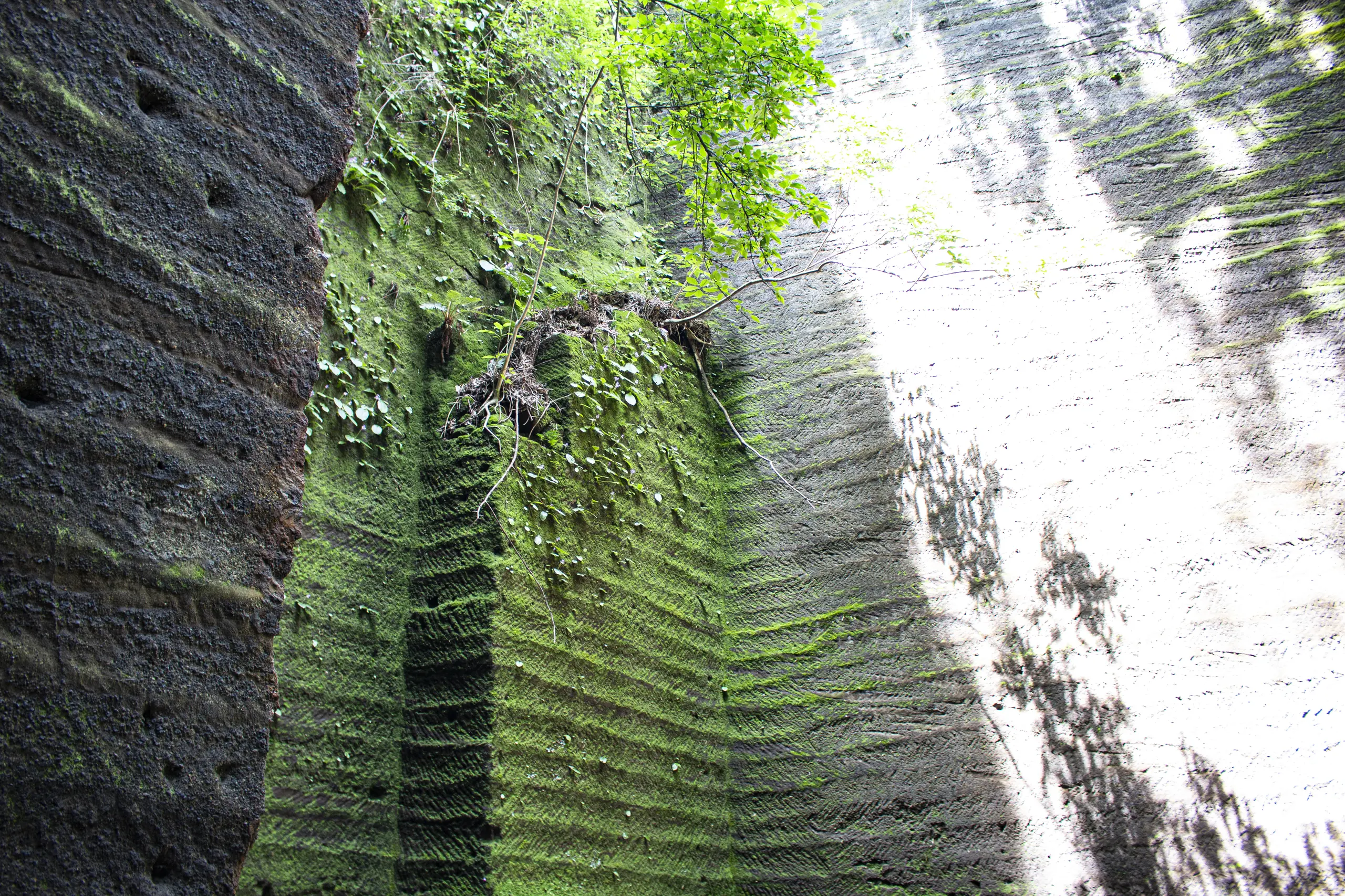 鷹取山 No.5
