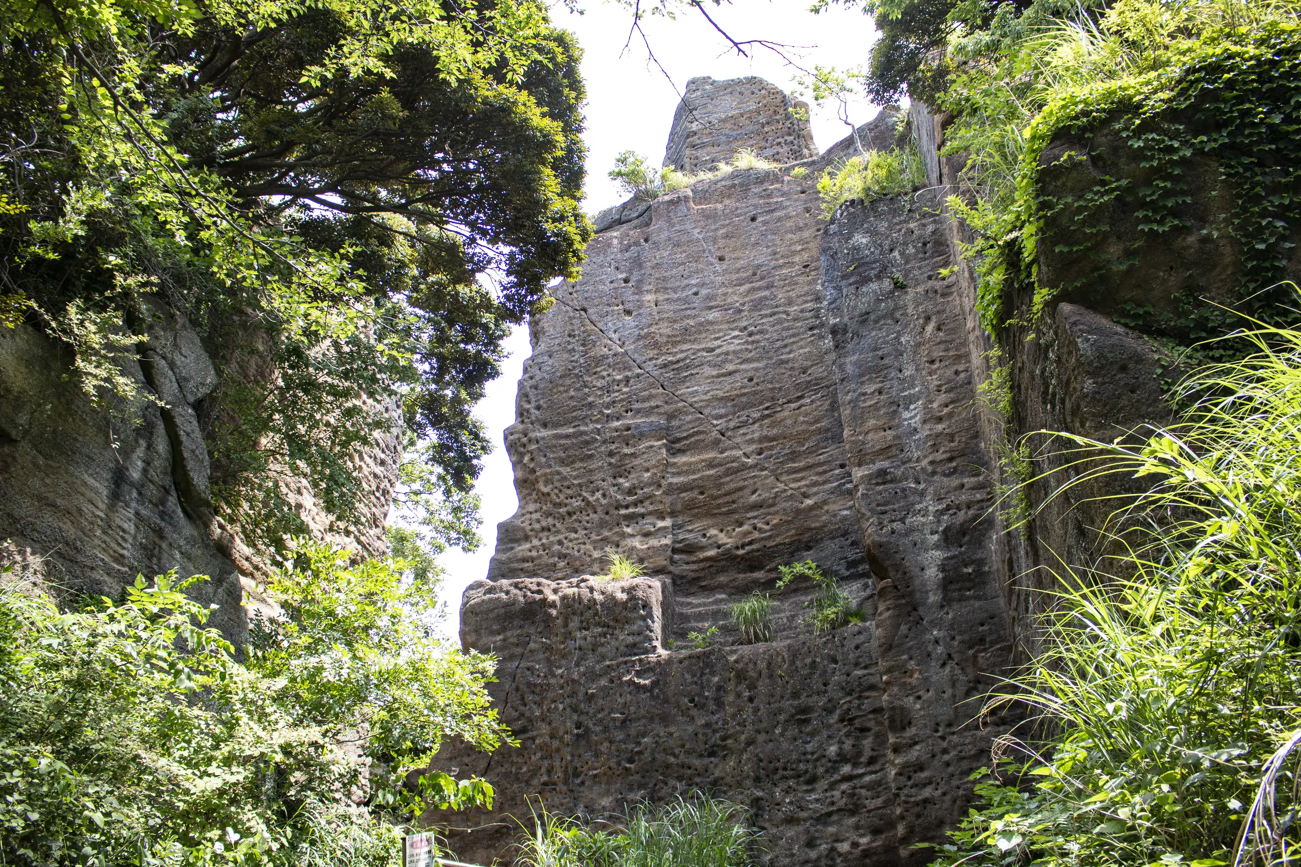鷹取山 No.6