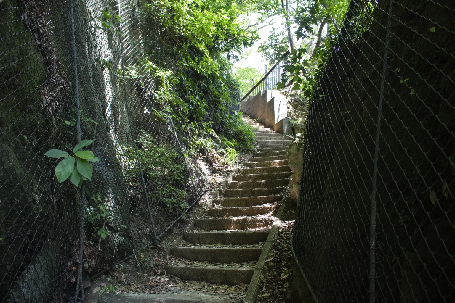 鷹取山