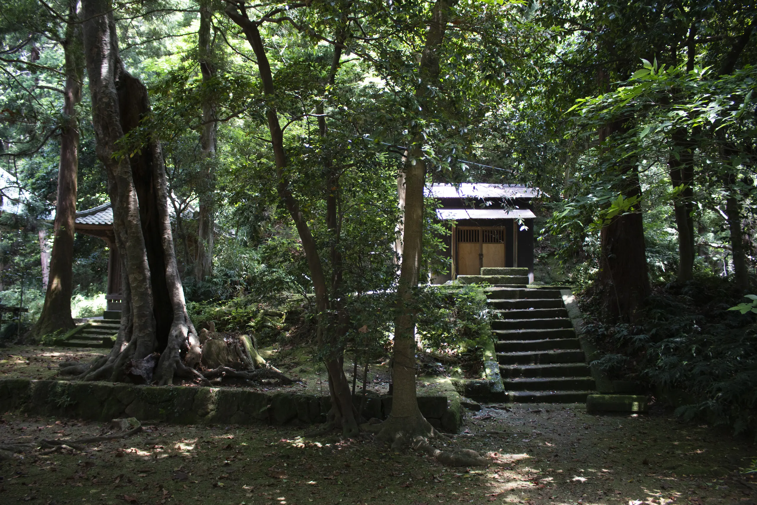 鷹取山 No.18