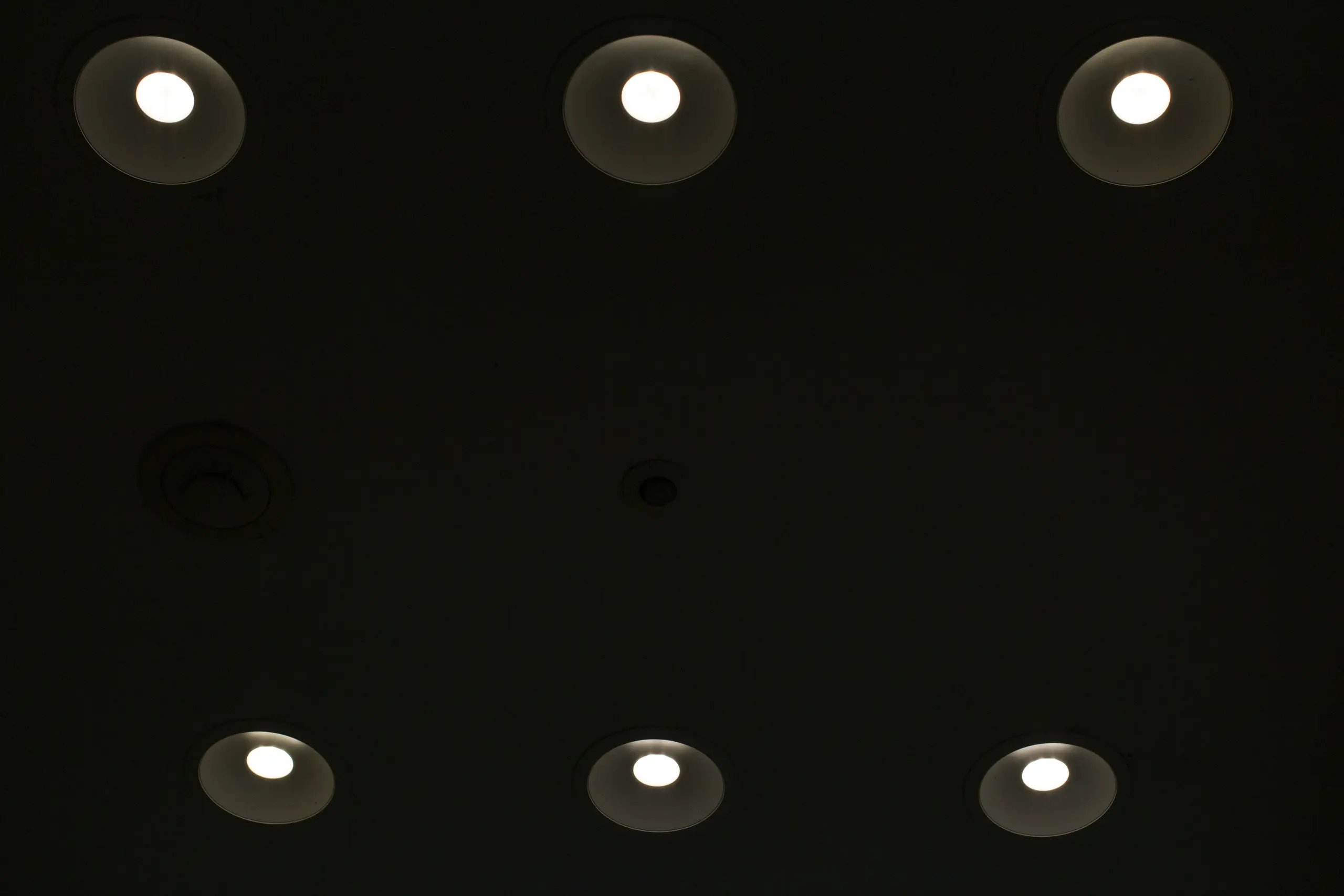 20200624東京駅日比谷公園 No.7