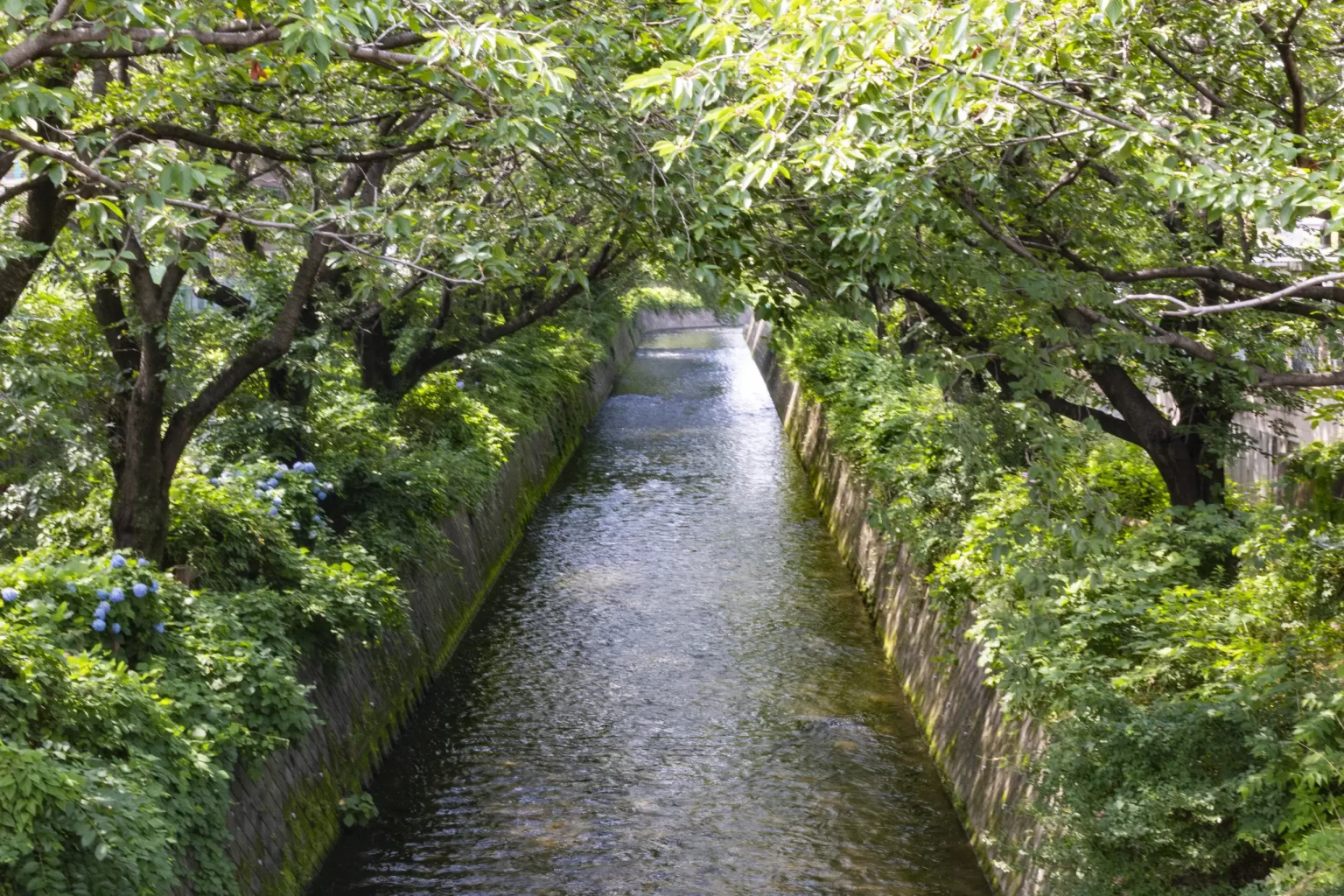 国府津→酒匂堰→小田原城