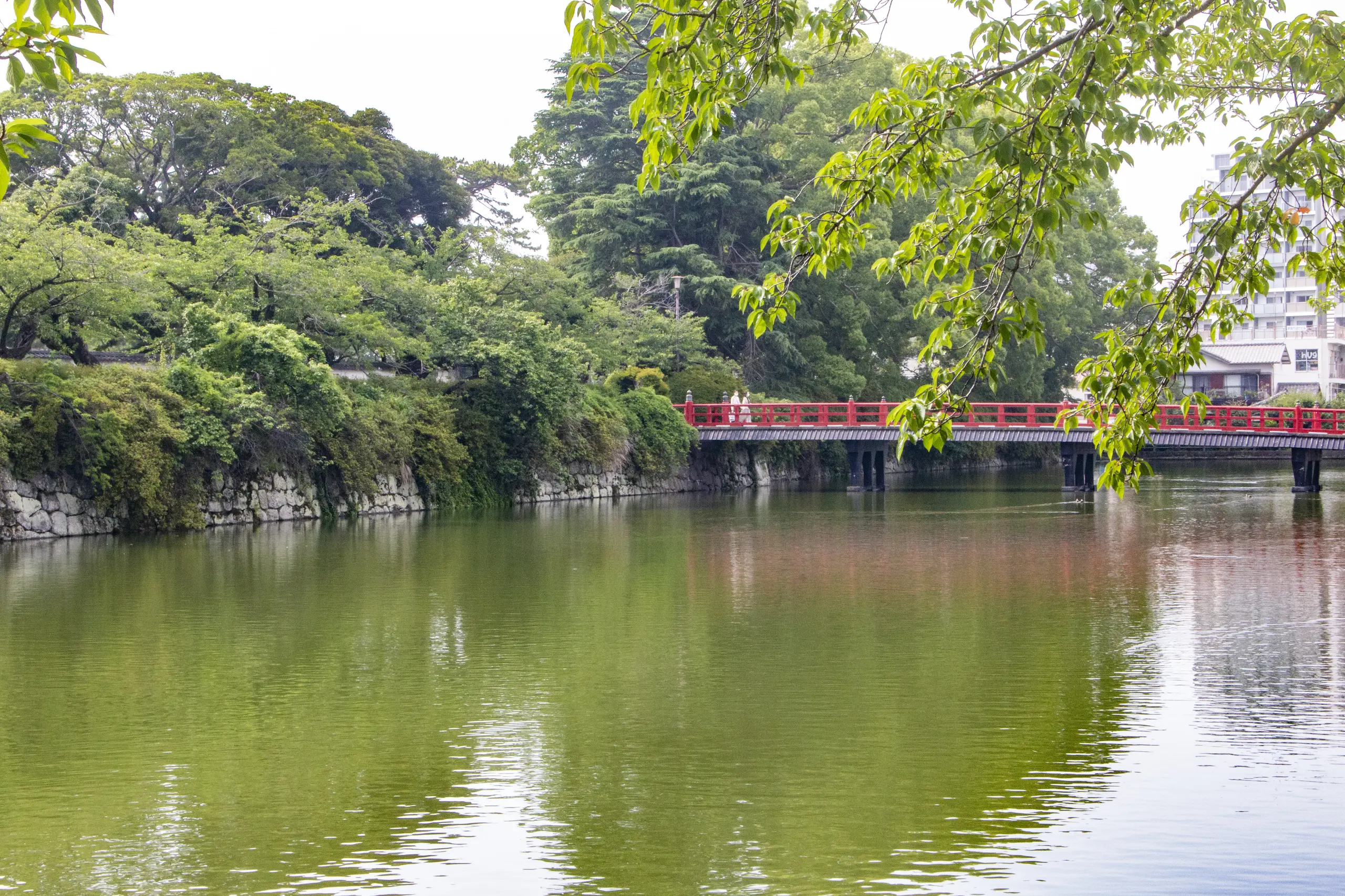 国府津→酒匂堰→小田原城 No.21