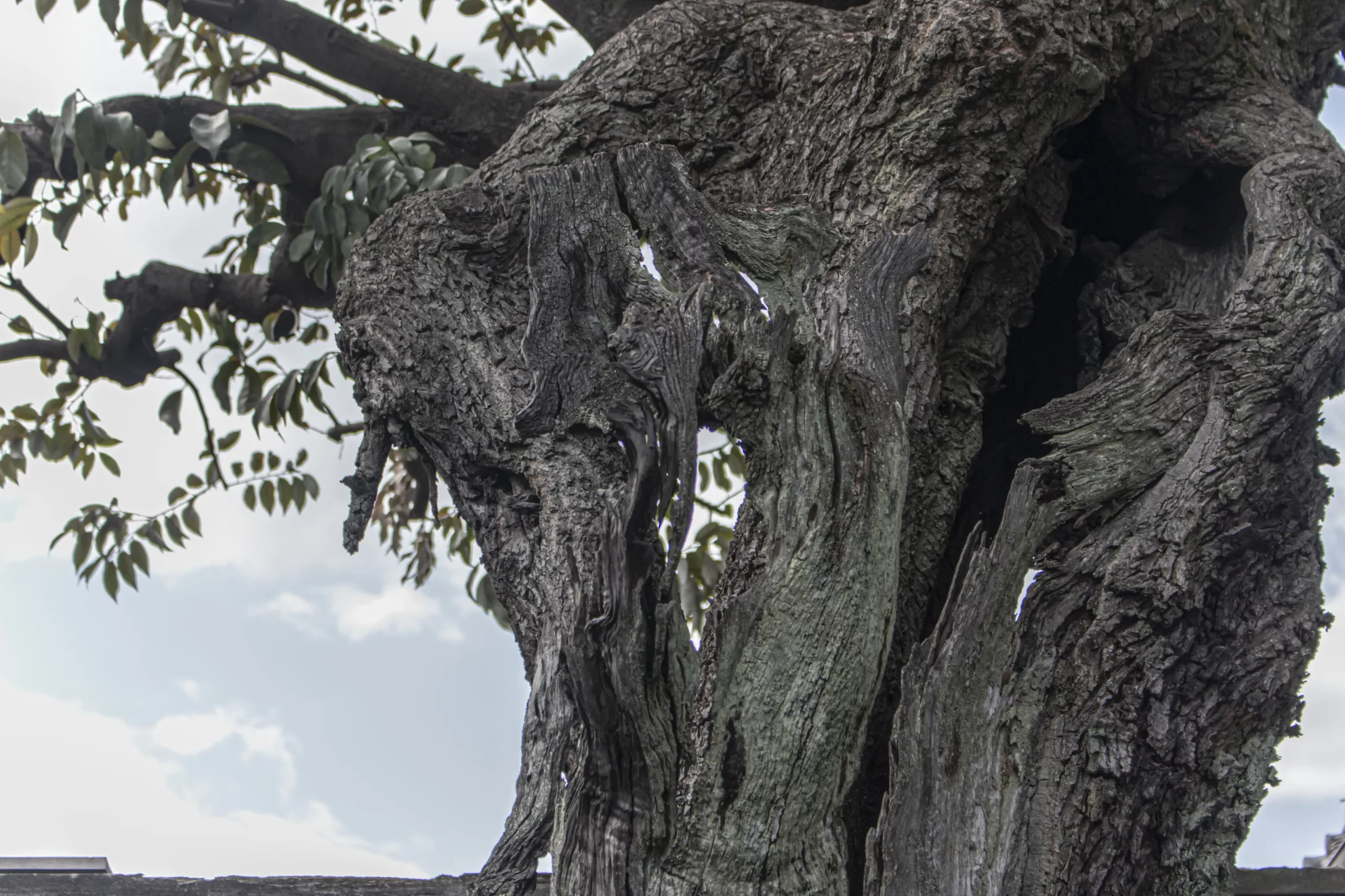 増上寺→東京タワー→西麻布→三田→芝浦→品川