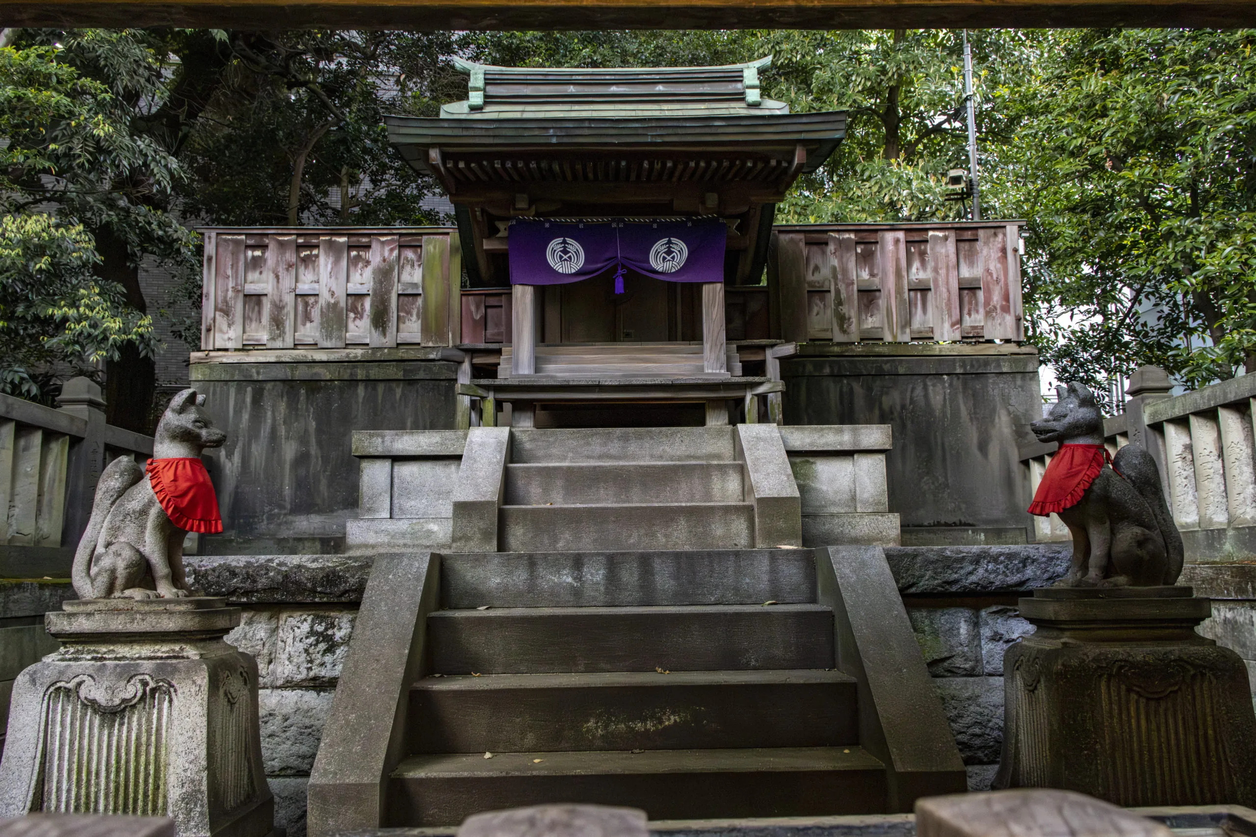 お化け階段→根津神社→谷中銀座 No.21