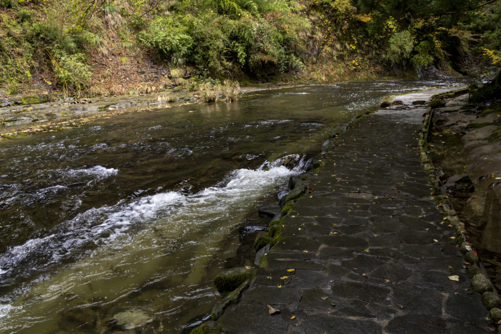 粟又の滝遊歩道