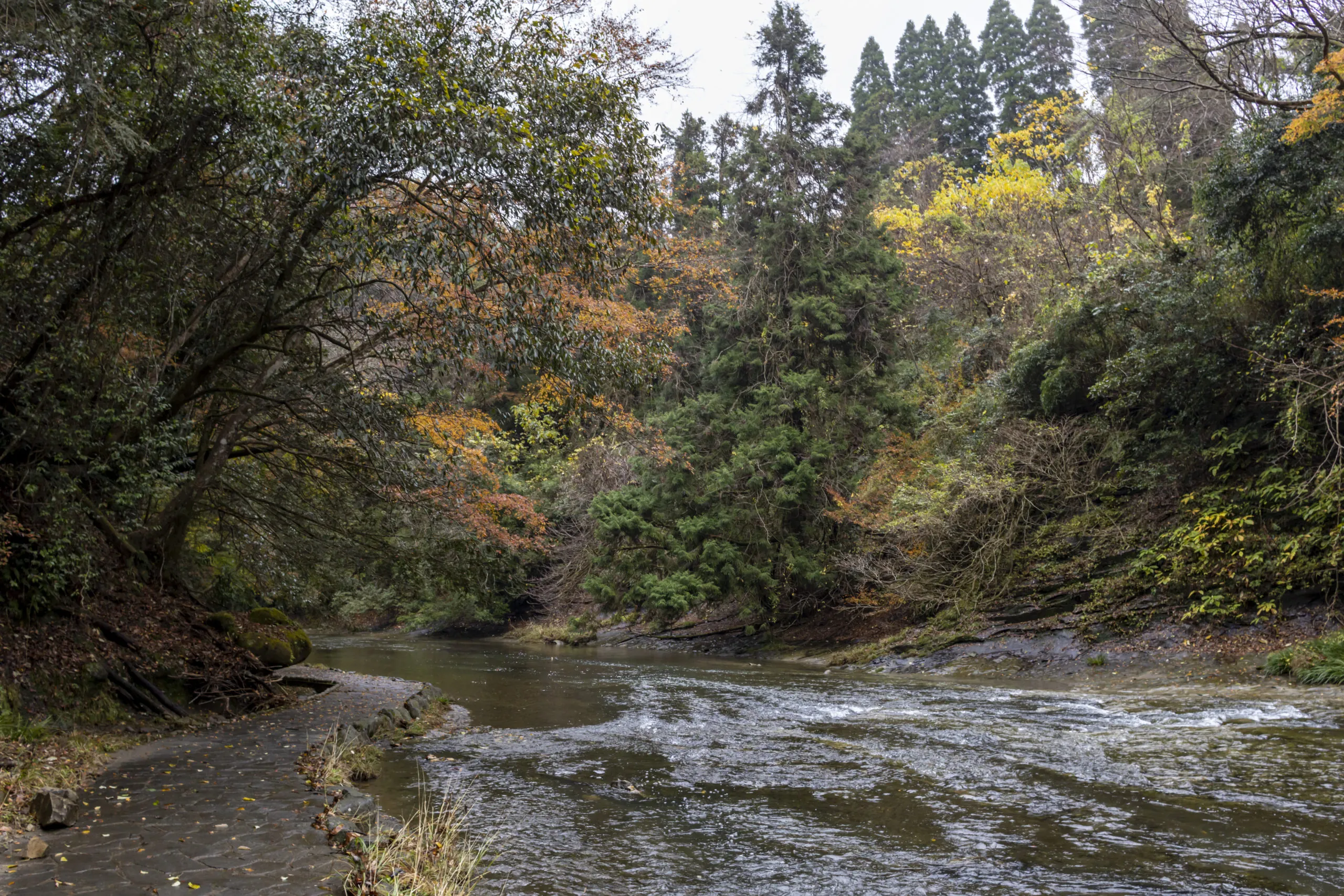 粟又の滝遊歩道 No.14
