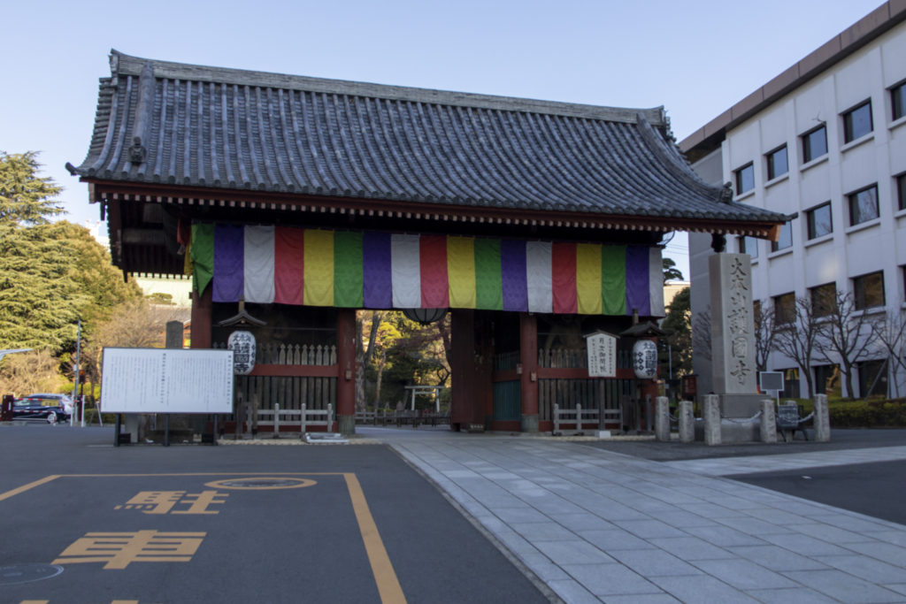 護国寺→小石川植物園→六義園→田端駅