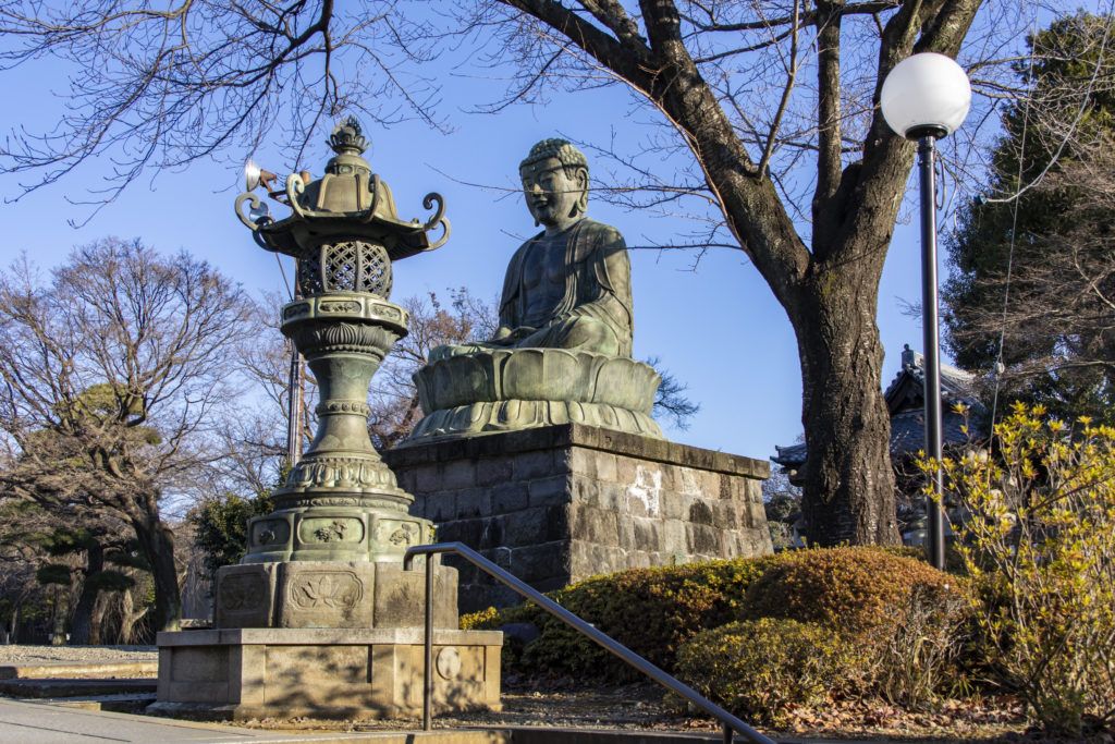 護国寺→小石川植物園→六義園→田端駅