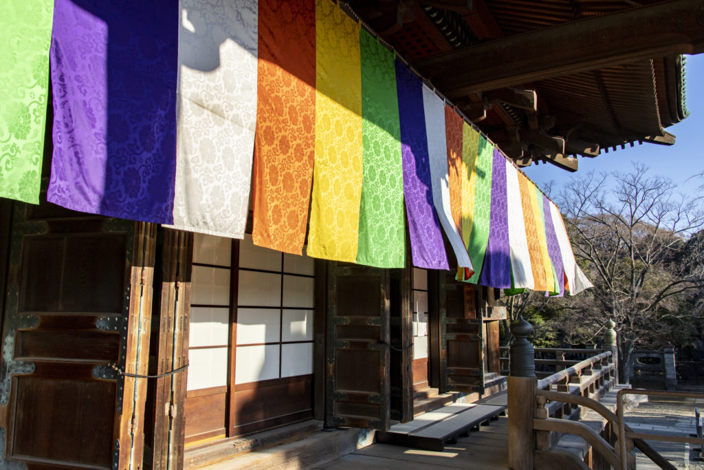 護国寺→小石川植物園→六義園→田端駅