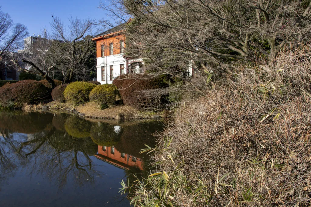 護国寺→小石川植物園→六義園→田端駅