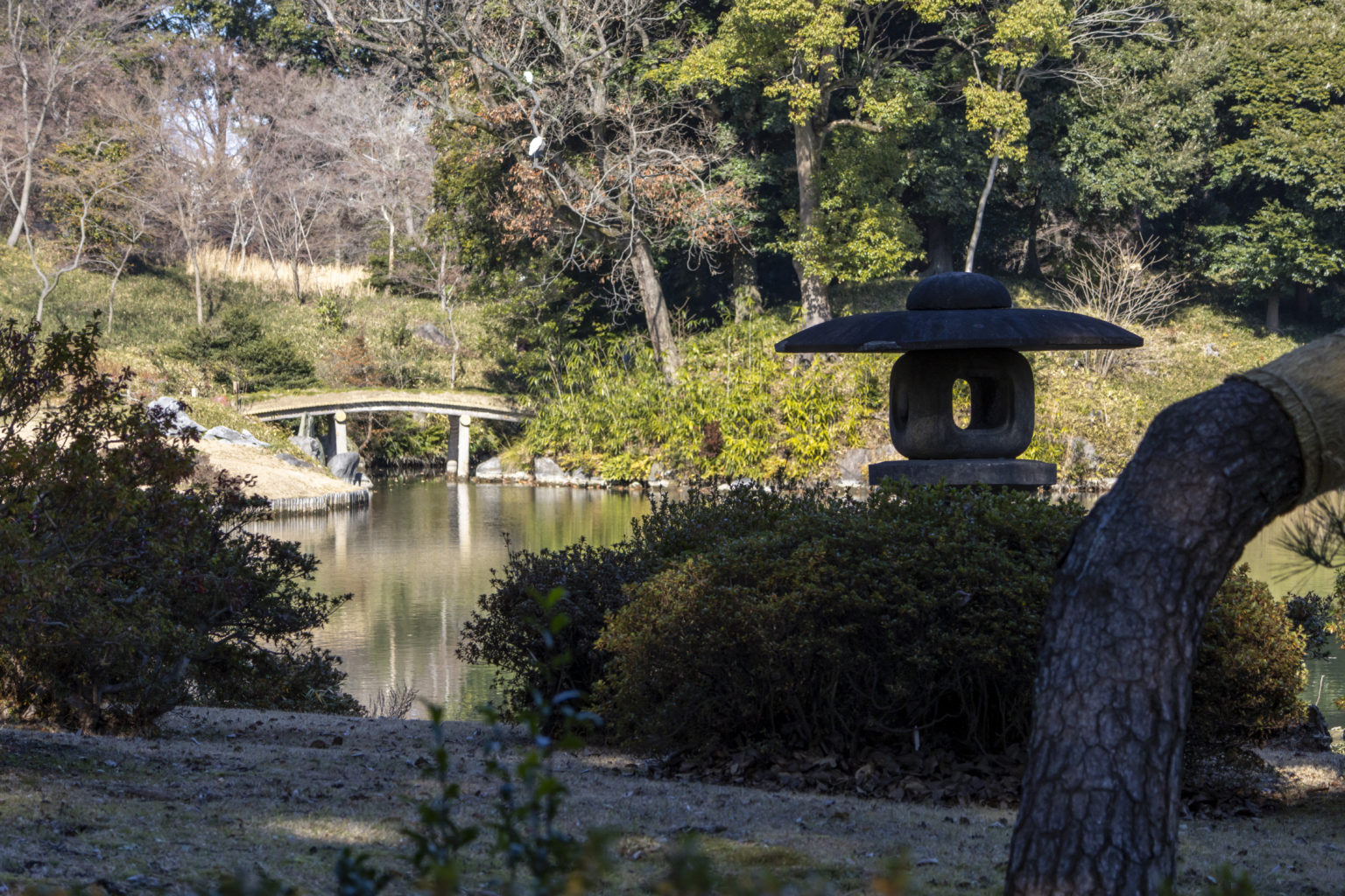 護国寺→小石川植物園→六義園→田端駅
