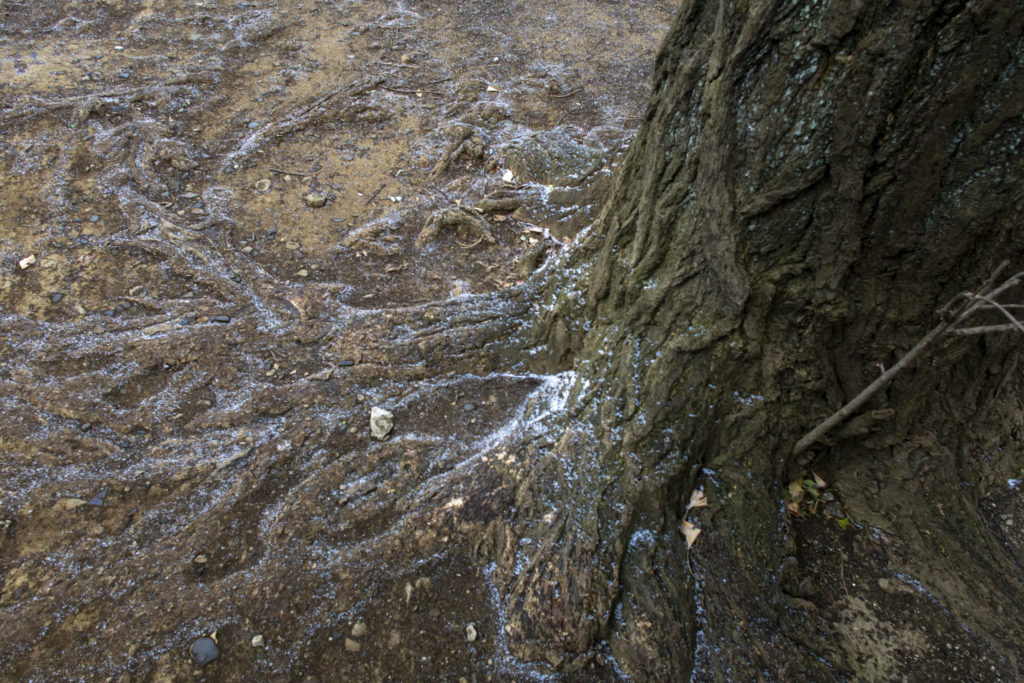 西日暮里→諏訪神社→谷中ぎんざ（雪）