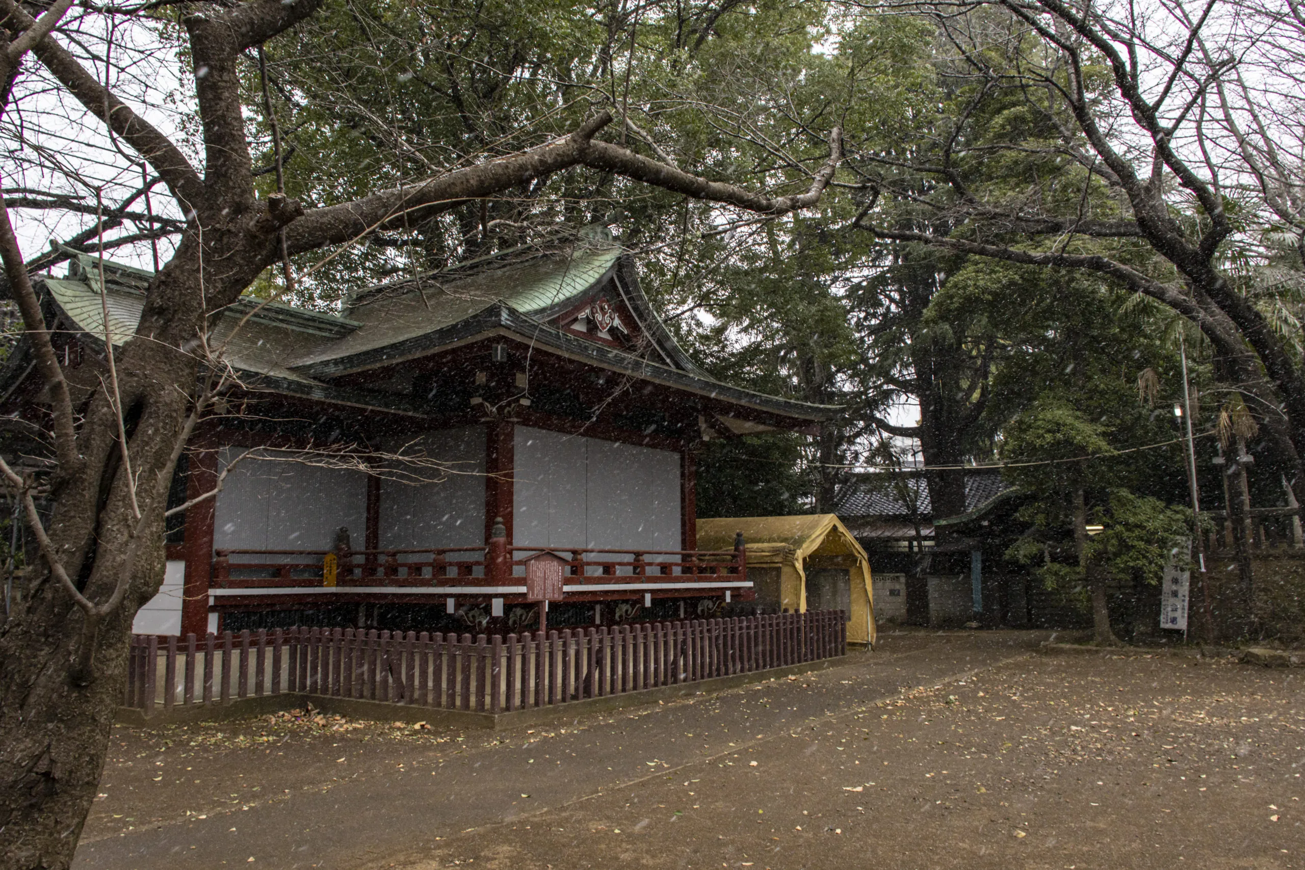 西日暮里→諏訪神社→谷中ぎんざ（雪） No.2