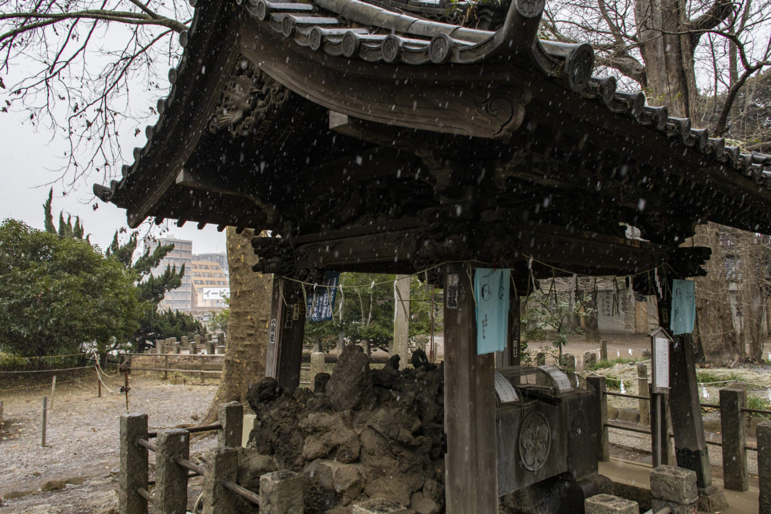 西日暮里→諏訪神社→谷中ぎんざ(雪)
