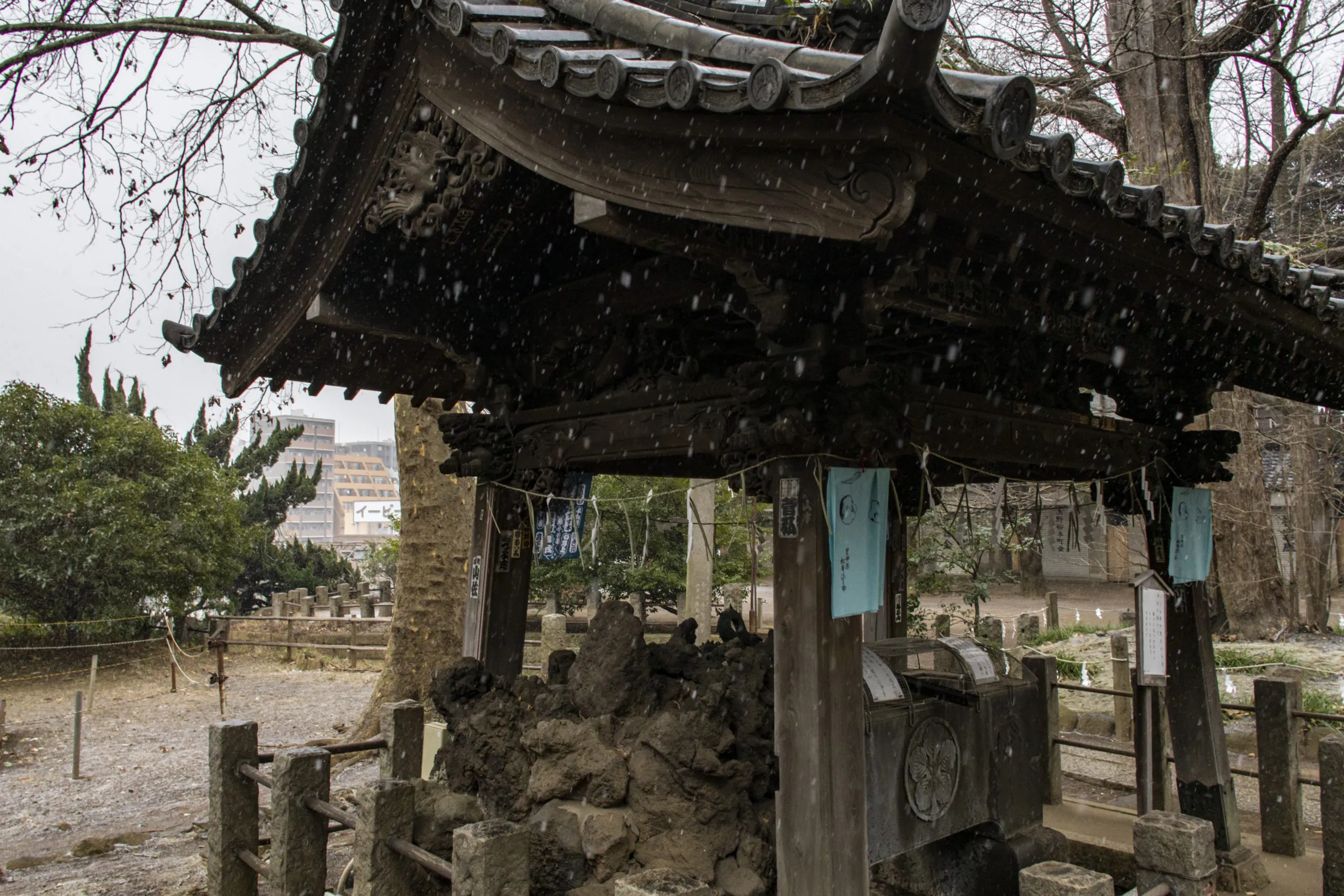 西日暮里→諏訪神社→谷中ぎんざ（雪） No.4