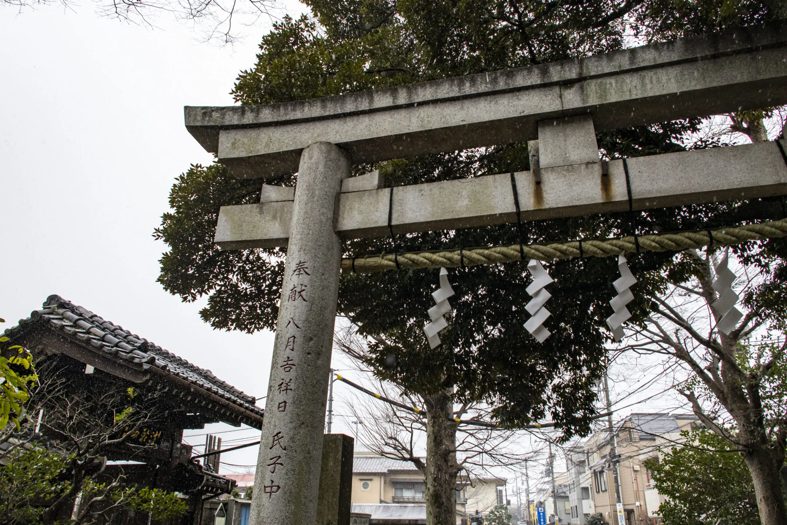 西日暮里→諏訪神社→谷中ぎんざ（雪） No.6