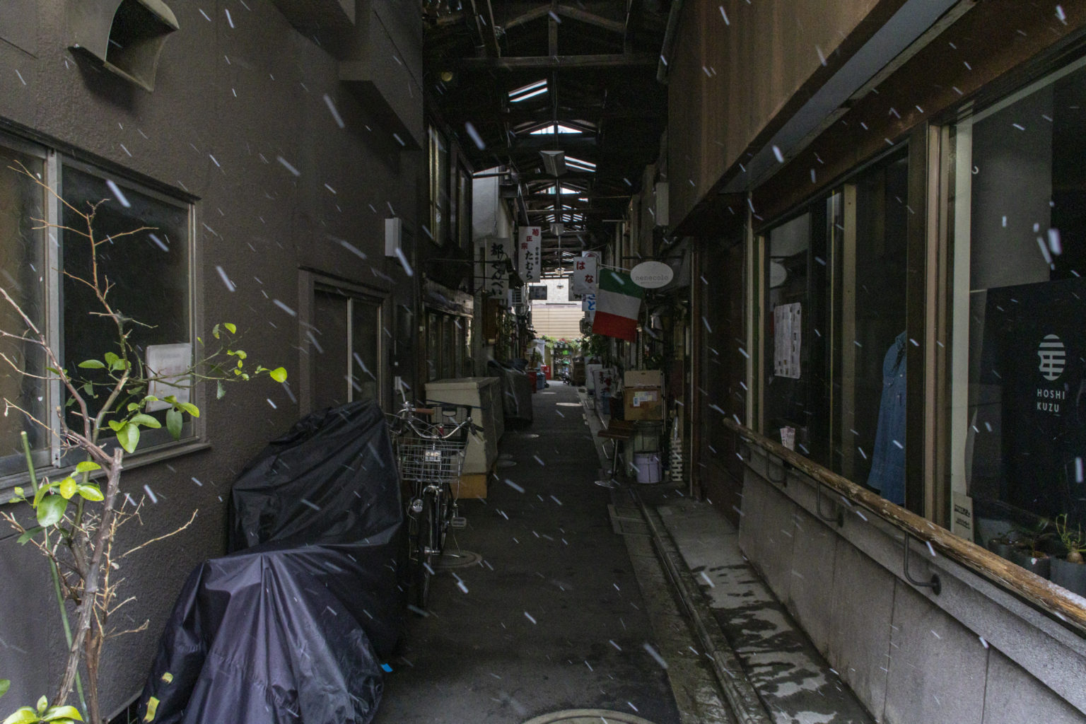 西日暮里→諏訪神社→谷中ぎんざ(雪)