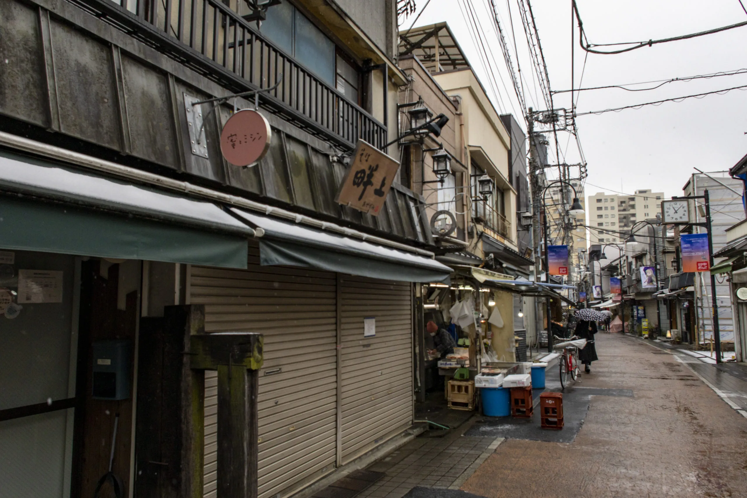 西日暮里→諏訪神社→谷中ぎんざ（雪） No.10