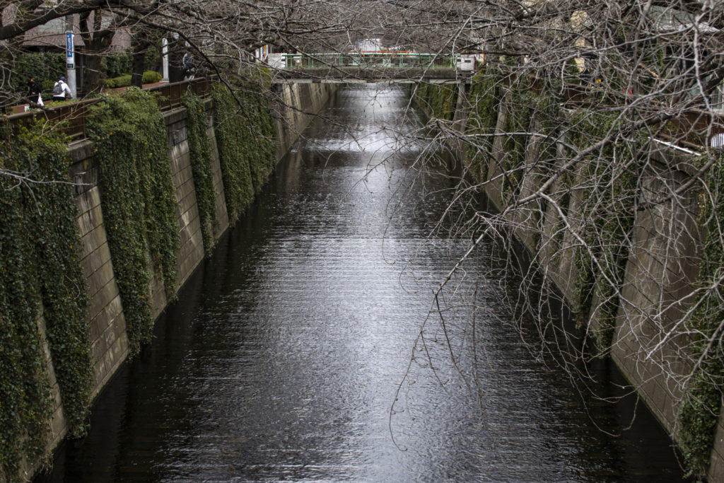 祐天寺→中目黒→恵比寿
