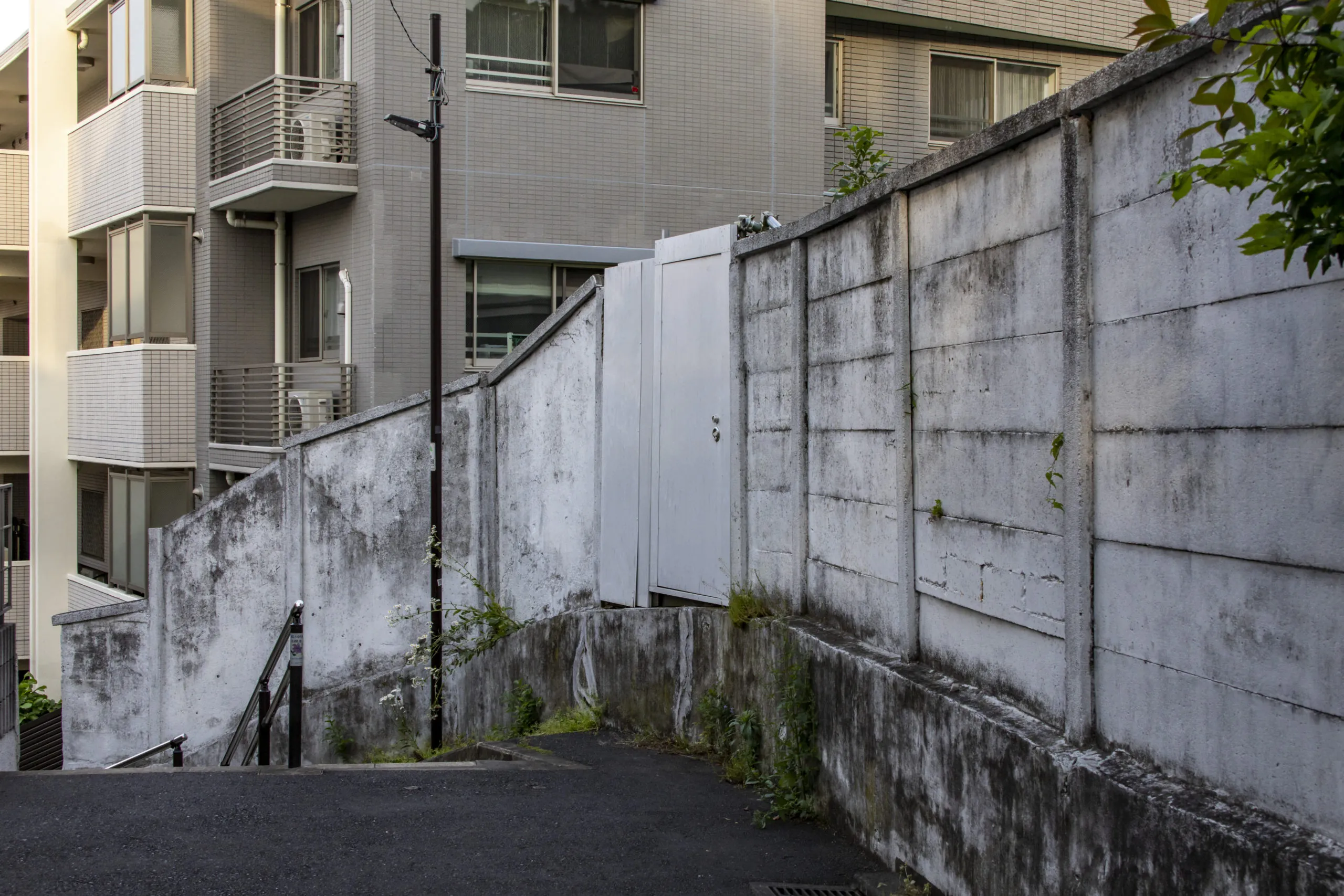 お化け階段→根津神社→谷中銀座 No.4