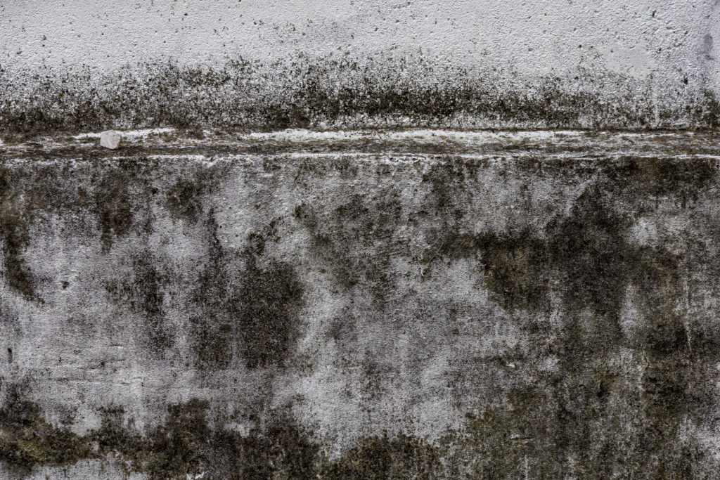 お化け階段→根津神社→谷中銀座