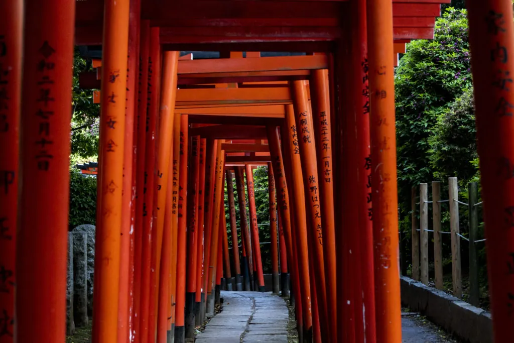 お化け階段→根津神社→谷中銀座