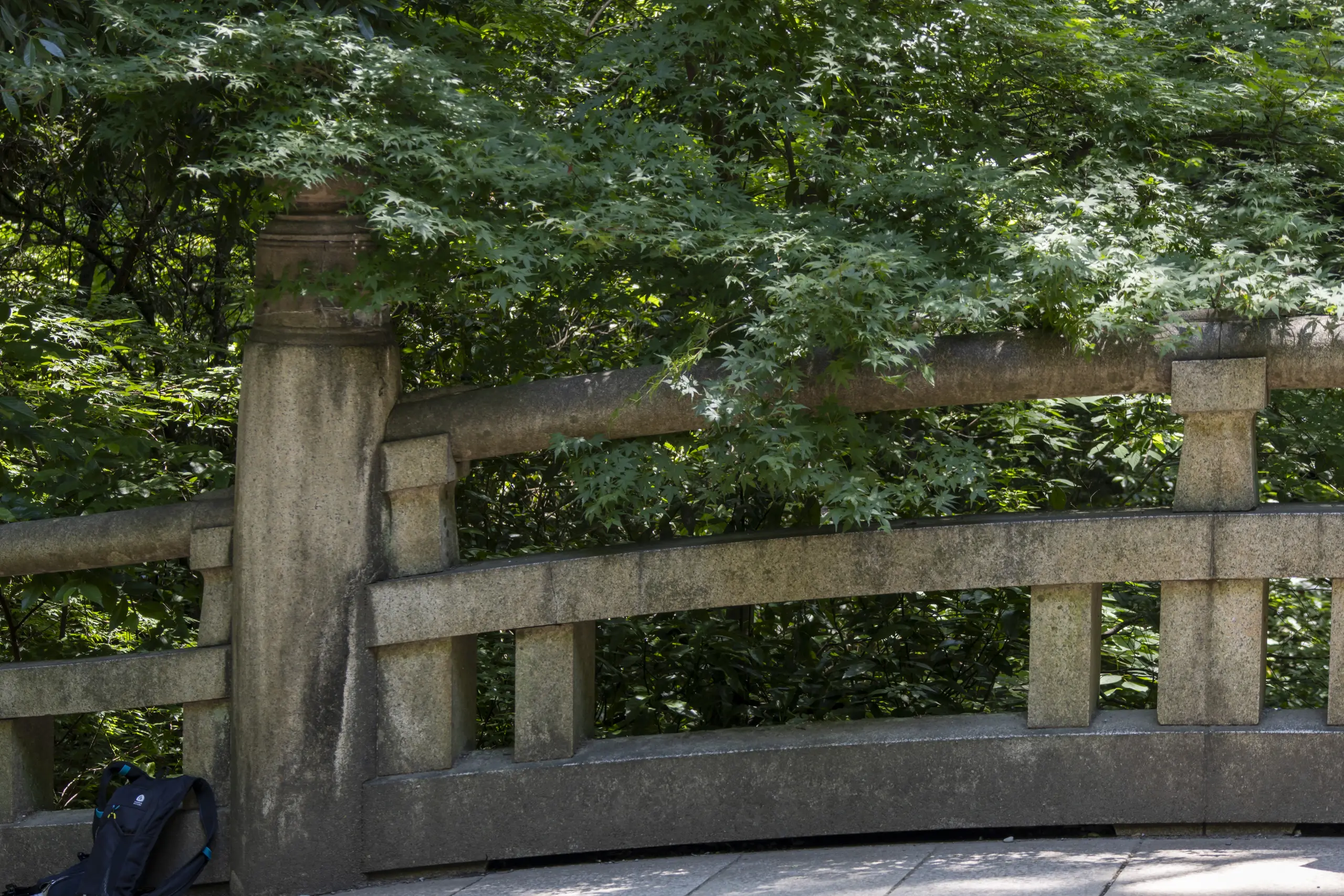 明治神宮→十二社熊野神社→中野→新井薬師