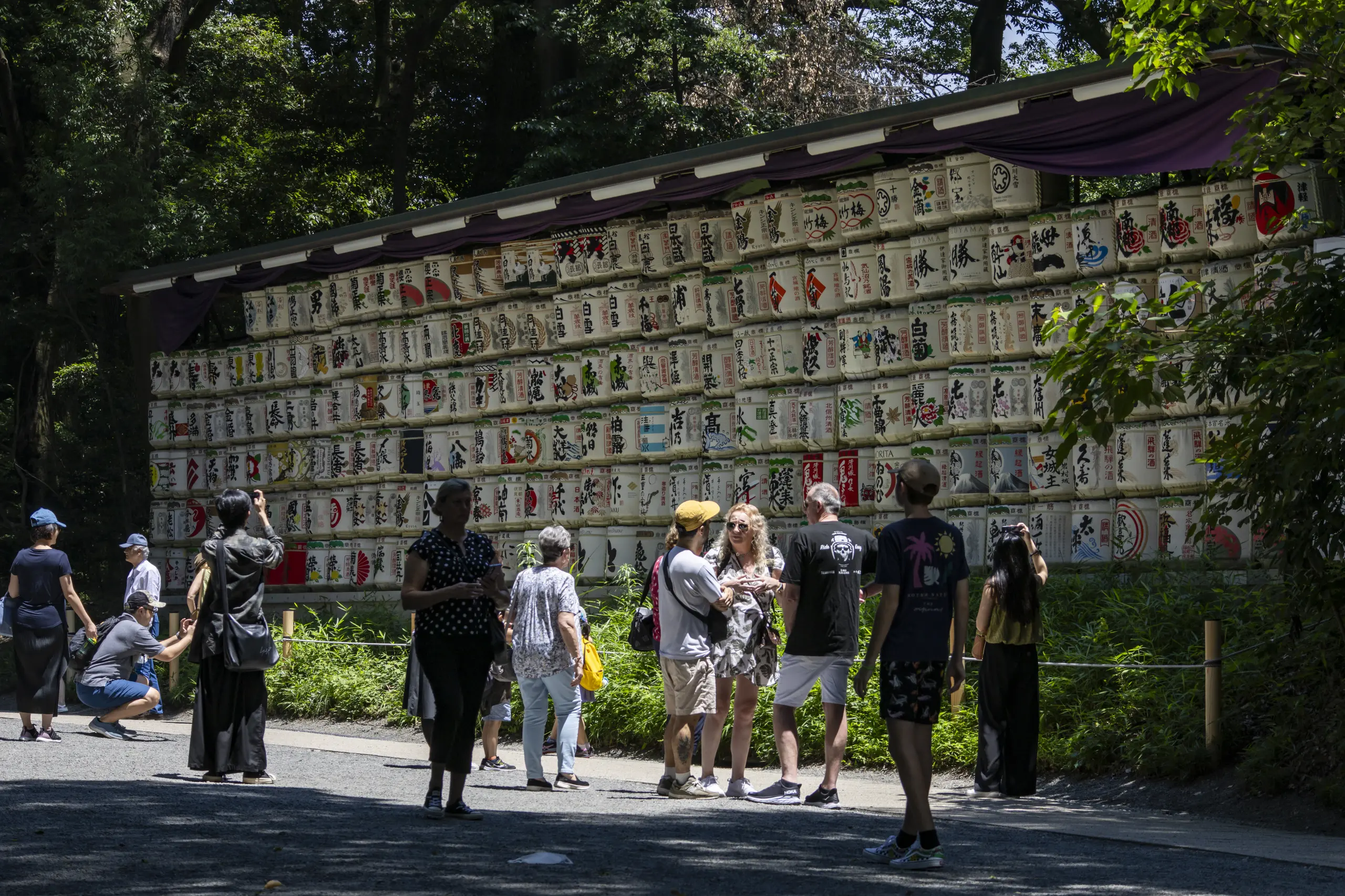 明治神宮→十二社熊野神社→中野→新井薬師 No.5