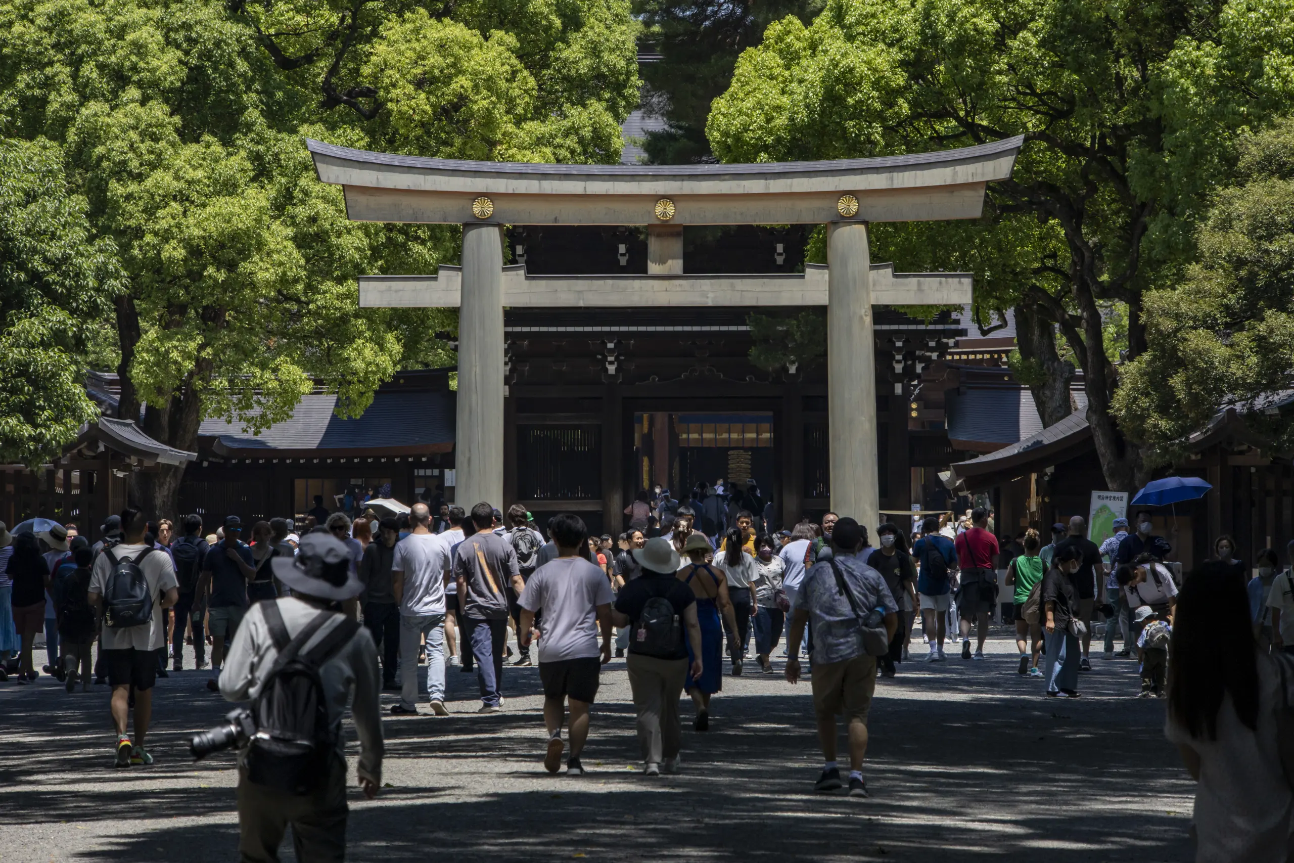 明治神宮→十二社熊野神社→中野→新井薬師 No.7