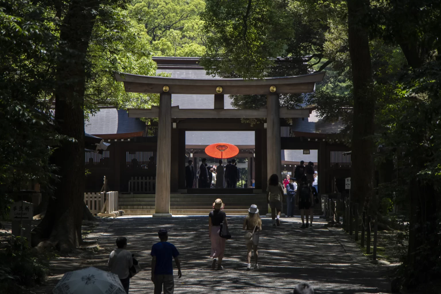 明治神宮→十二社熊野神社→中野→新井薬師