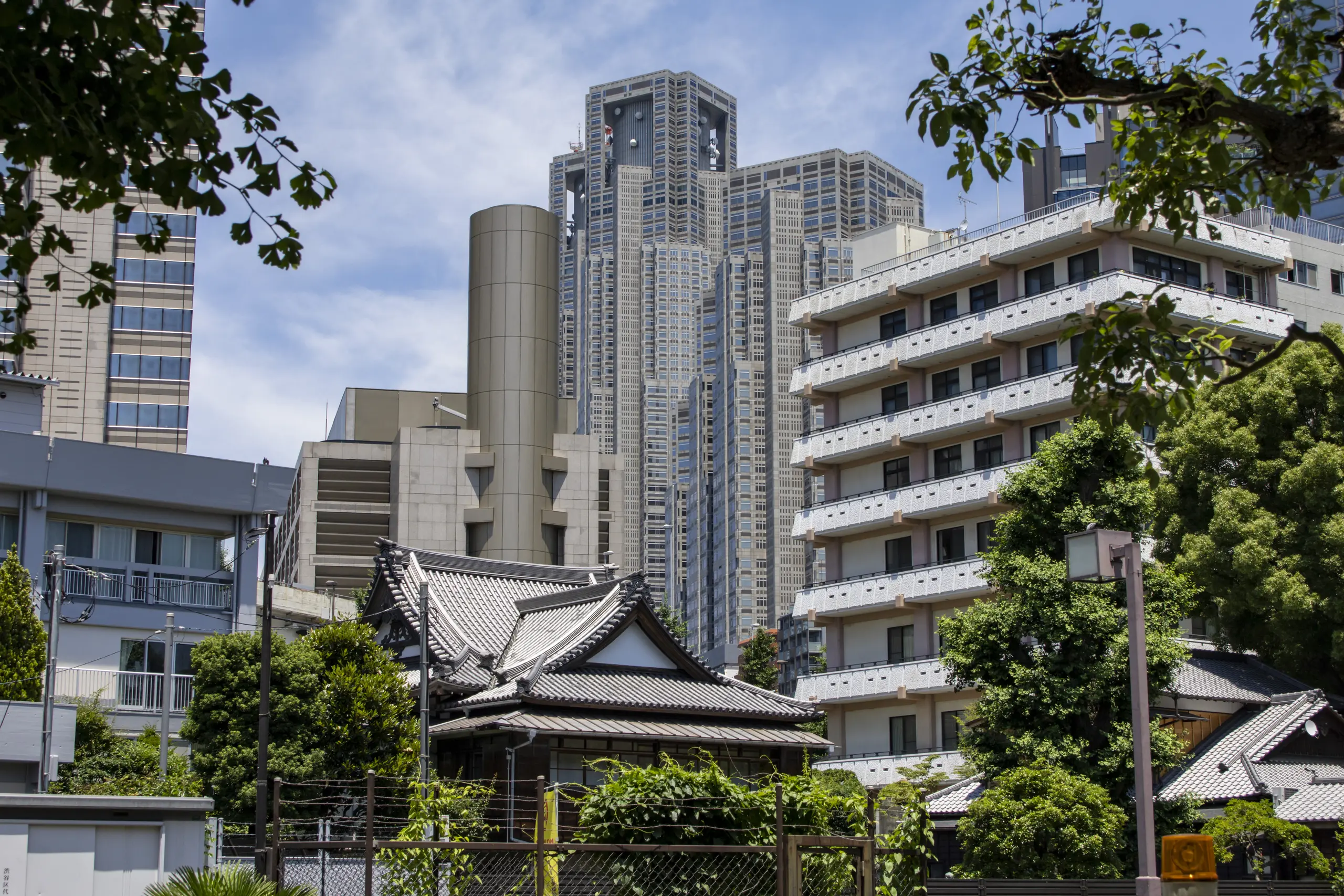 明治神宮→十二社熊野神社→中野→新井薬師 No.12