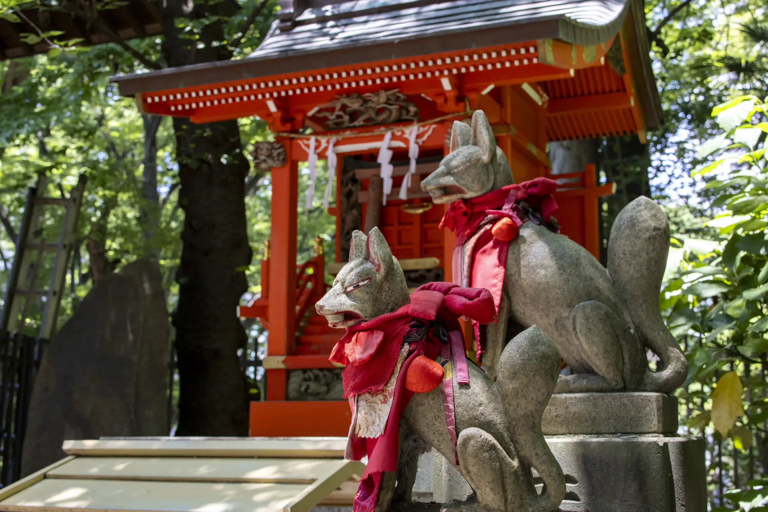 明治神宮→十二社熊野神社→中野→新井薬師 No.19