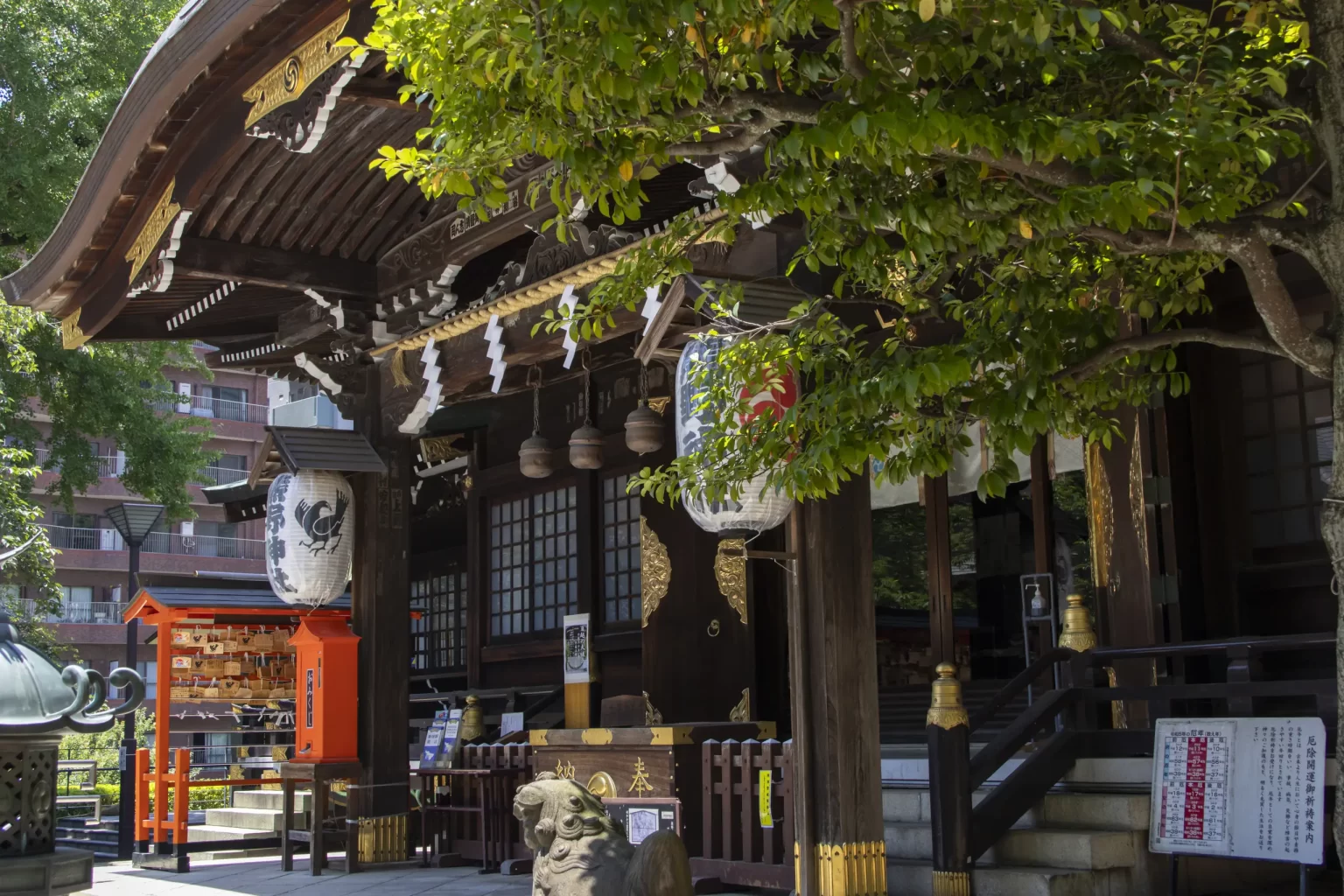 明治神宮→十二社熊野神社→中野→新井薬師