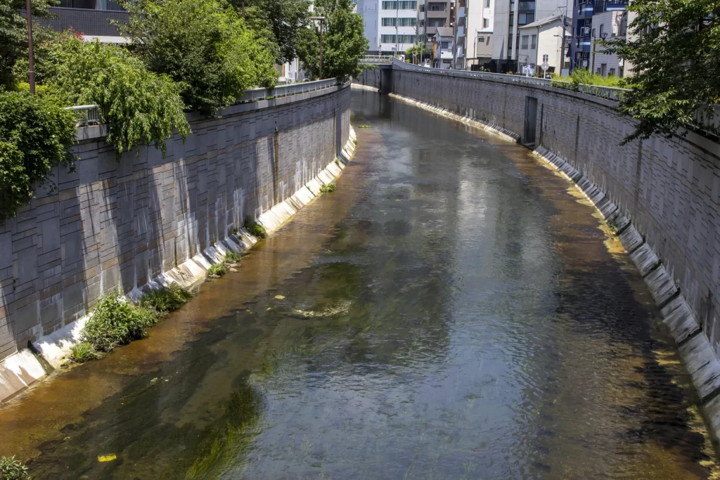 明治神宮→十二社熊野神社→中野→新井薬師