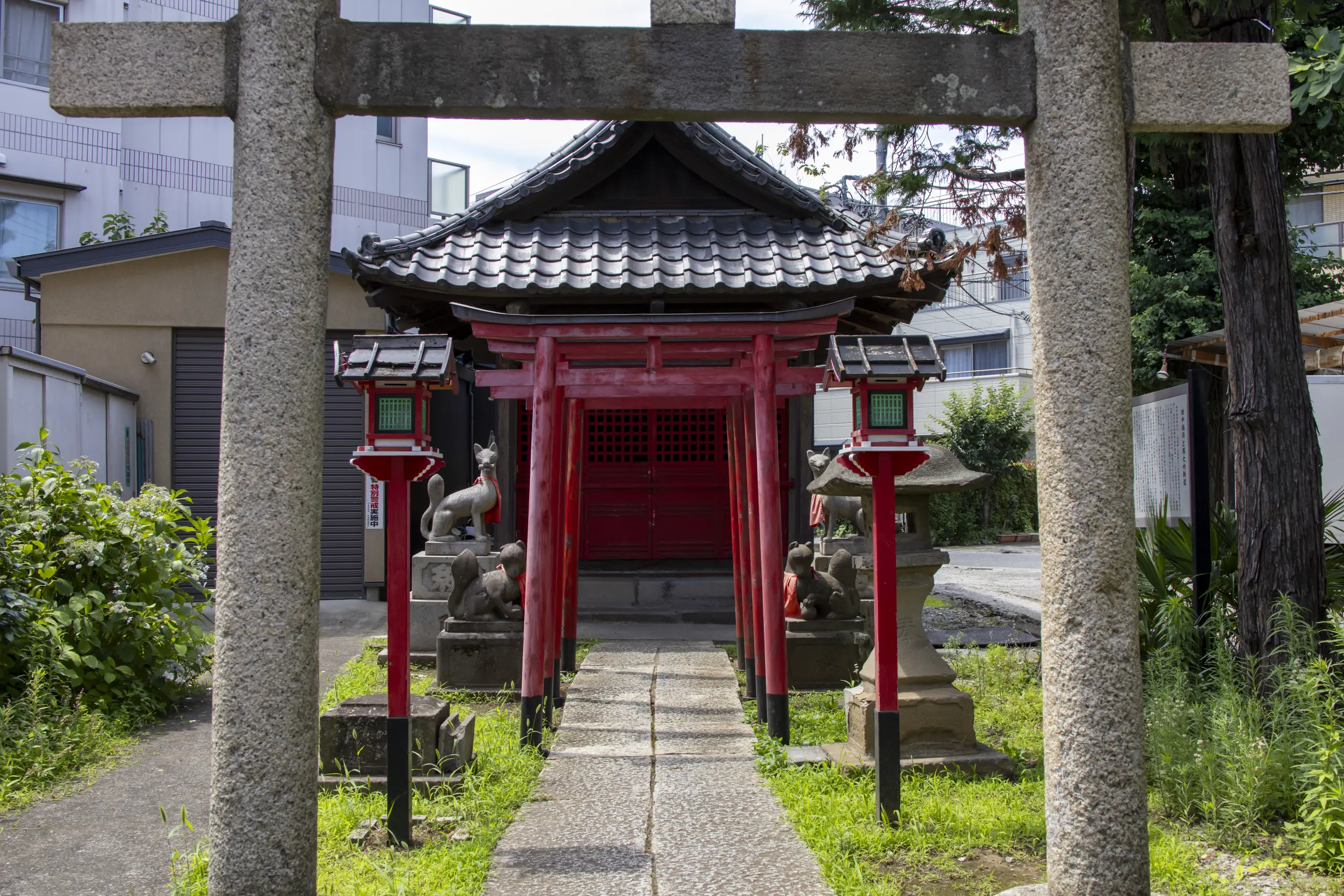 明治神宮→十二社熊野神社→中野→新井薬師 No.27