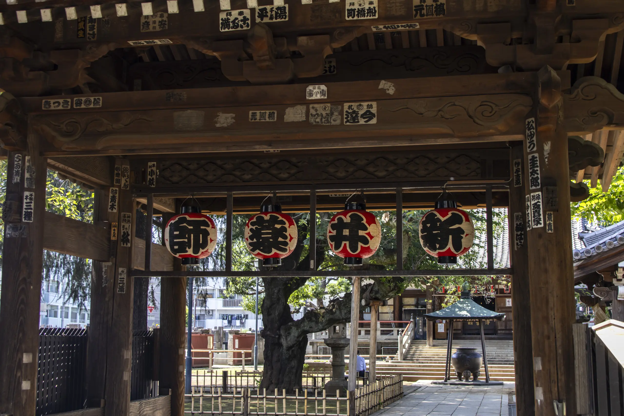 明治神宮→十二社熊野神社→中野→新井薬師 No.36