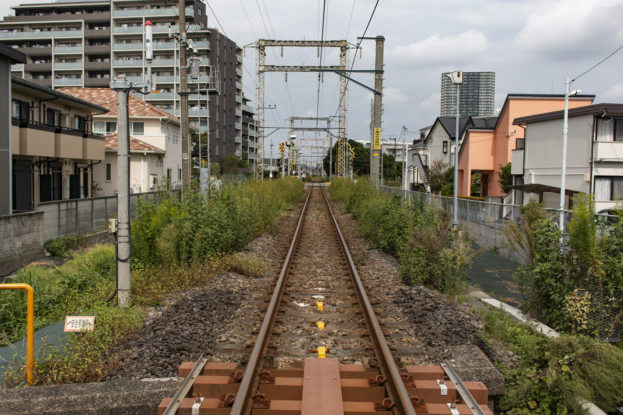 亀有柴又 No.3