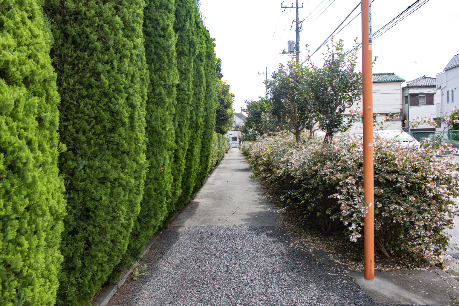 亀有柴又