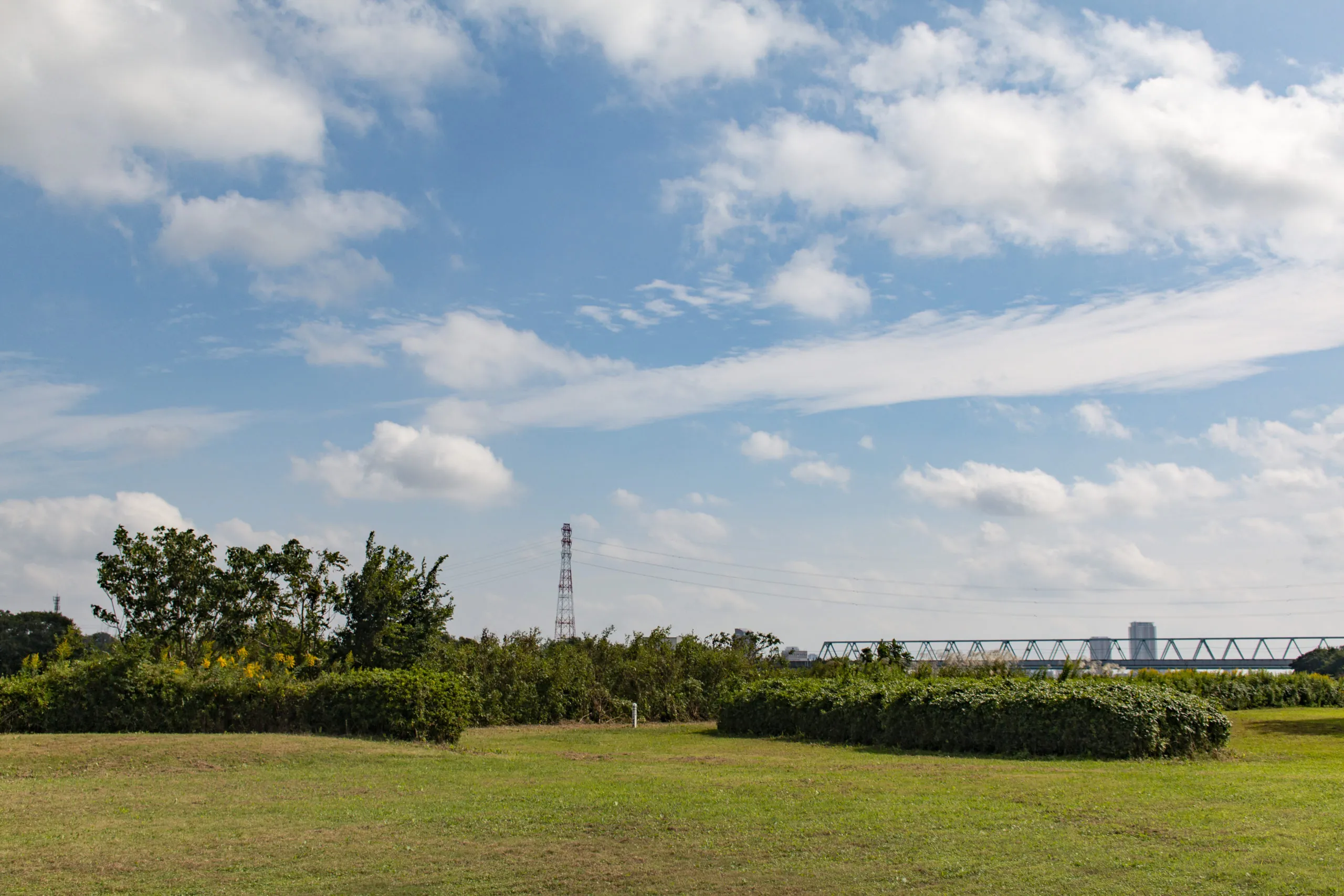 亀有柴又 No.19