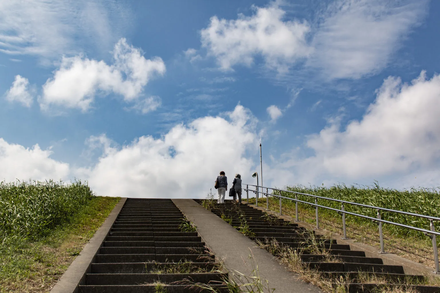 亀有柴又