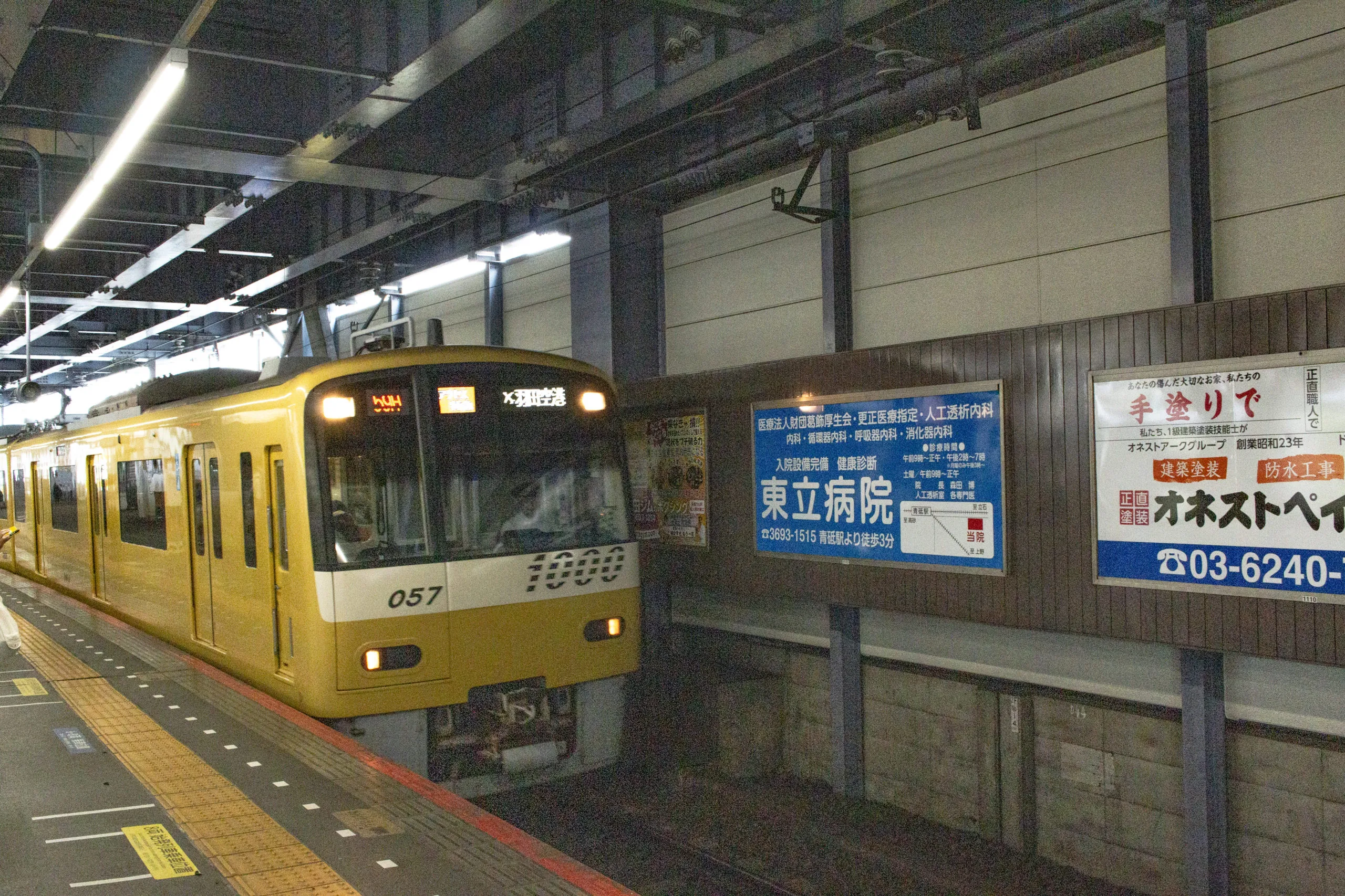 亀有柴又 No.36