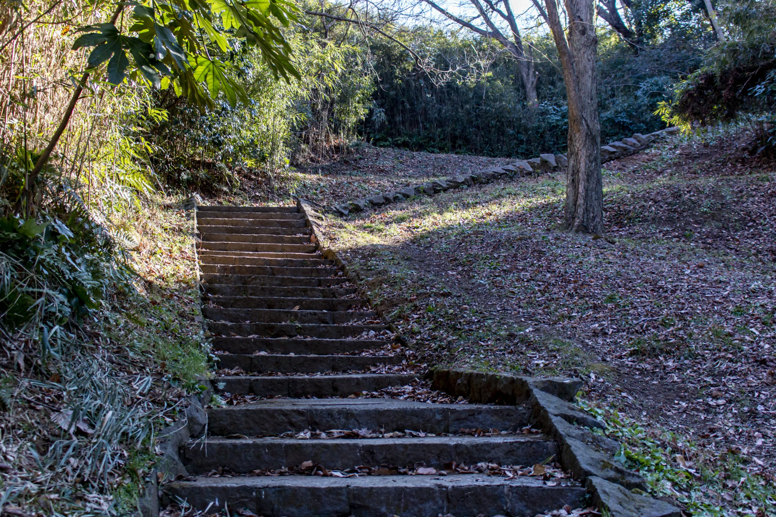 上大岡→黒船見物の丘→磯子→根岸 No.11