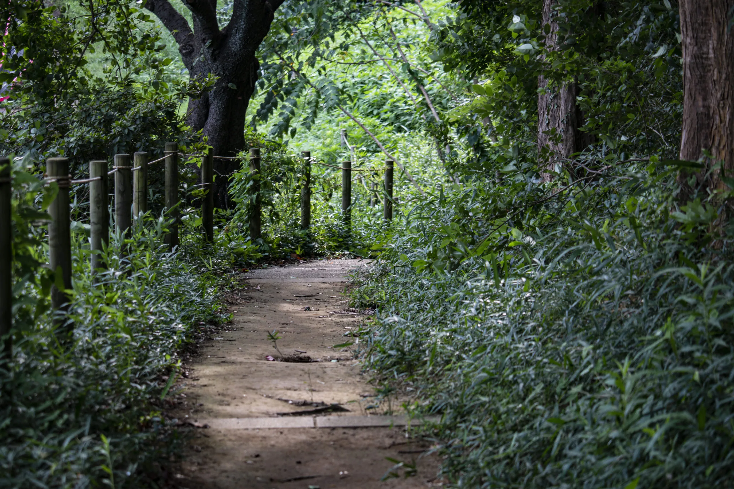 京浜東北線から鶴見三池公園 No.14